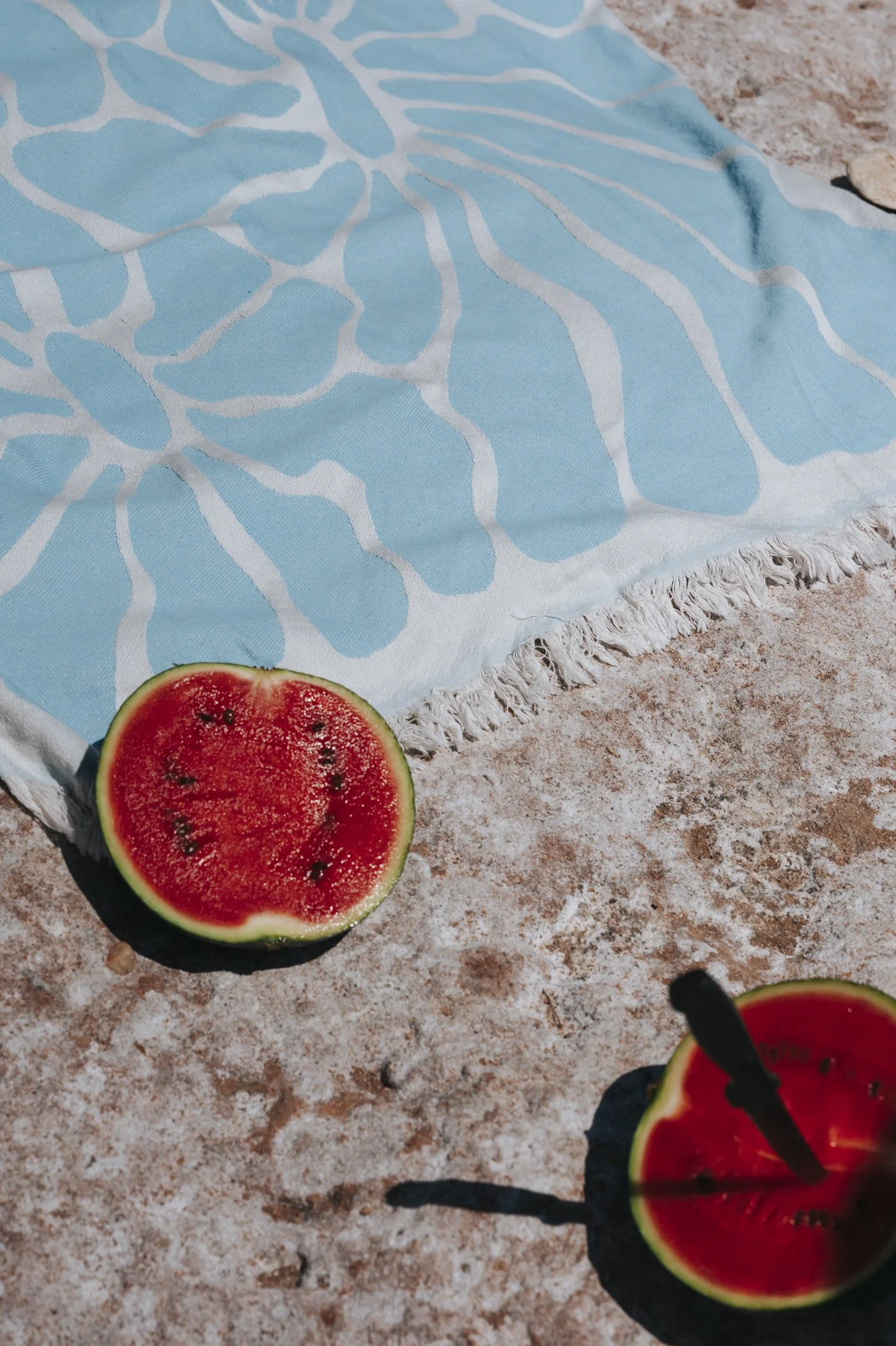Badila 010726 still life-168.JPG