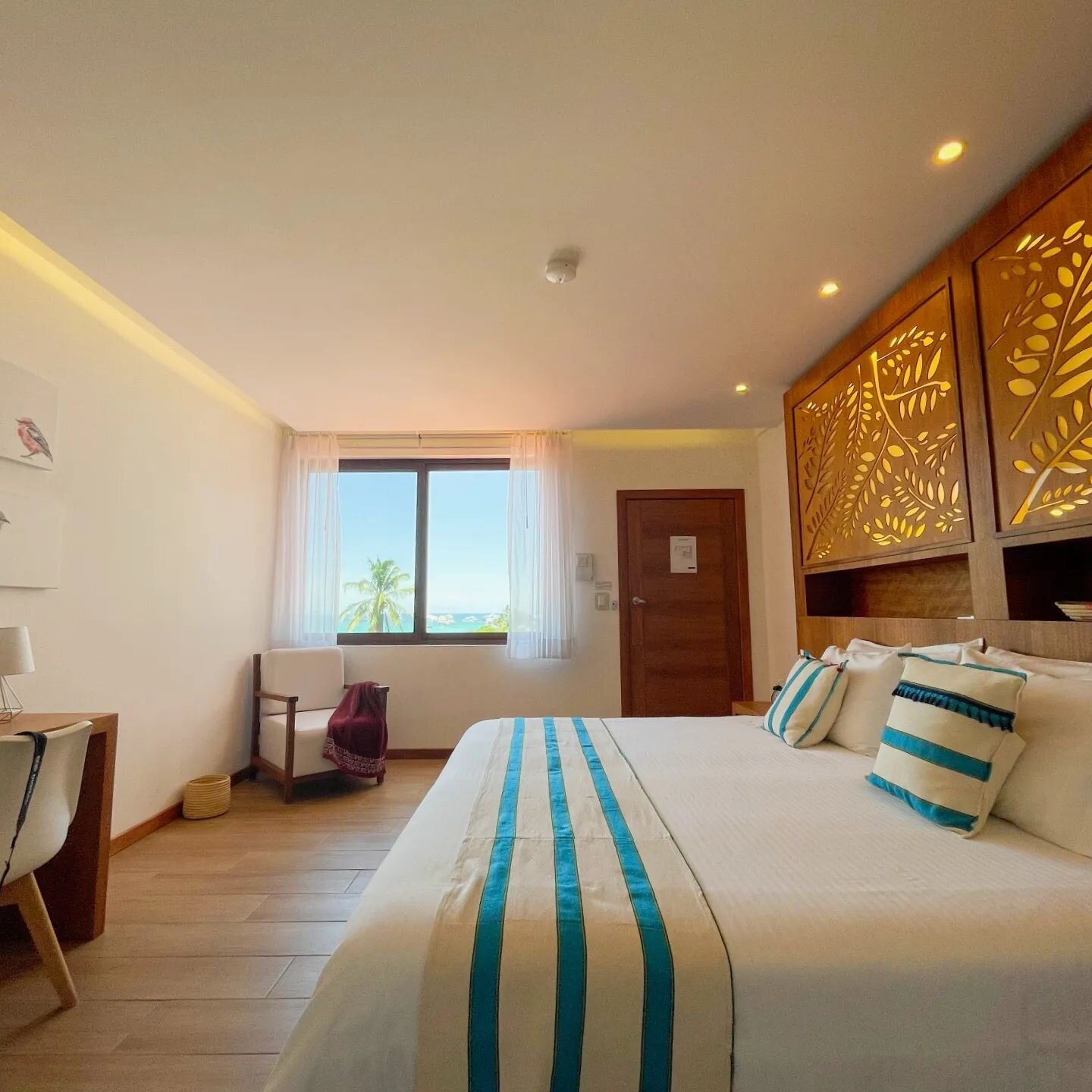 Acacia's style is truly unique 💙

#boutiquehotel #galapagos #beautifulhotels #hotelroom #bucketlisttravel #visitecuador #travelsouthamerica #galapagosislands #ecuador🇪🇨 #ecoturismo