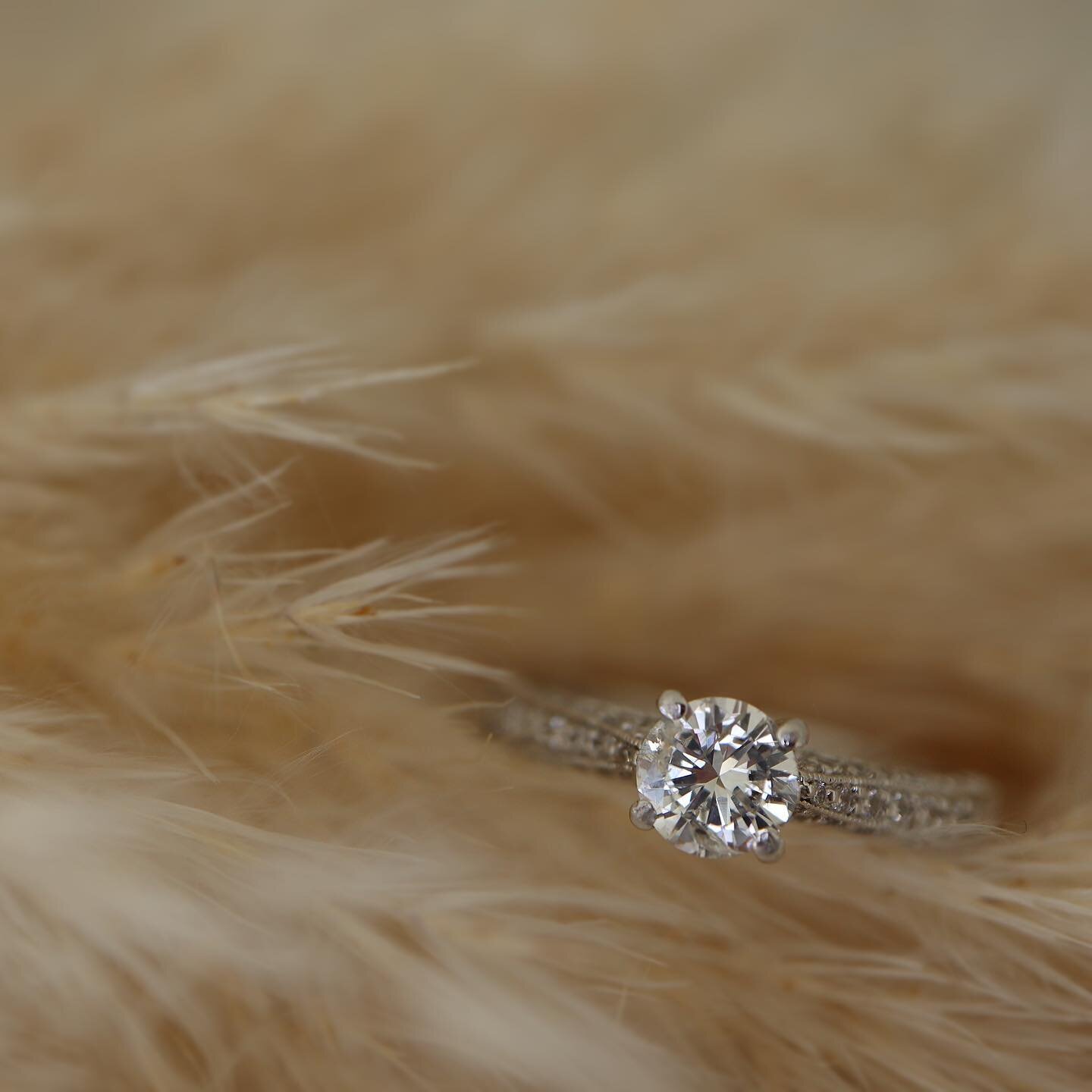 Classic diamond engagement ring with added sparkle to its setting💍✨ 

 #diamond #diamonds #diamondrings #rings #ringsofinstagram #gold #jewels #jewlery #diamondengagementring #diamondengagementrings #engagementring #engaged #engagement #style #ringc