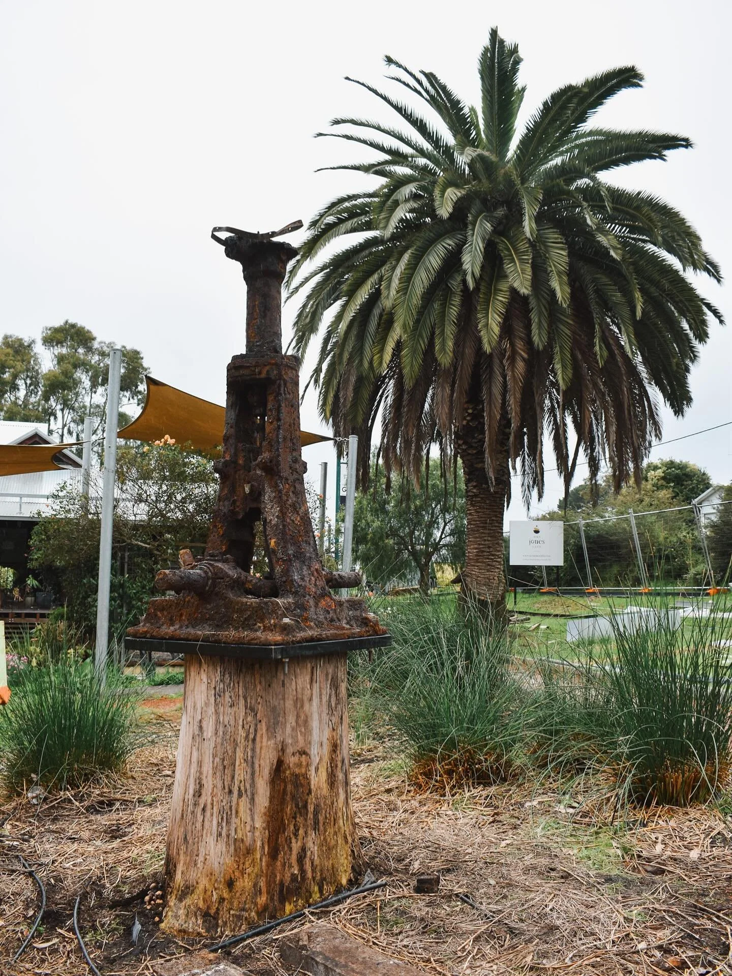 What&rsquo;s that on top of the old tree stump?

Tucked among the rubble, we uncovered this &lsquo;fossilised&rsquo; water pump - an incredible relic from the days on this site before the timber mills and butter churns.

Back then, Miller&rsquo;s Cre