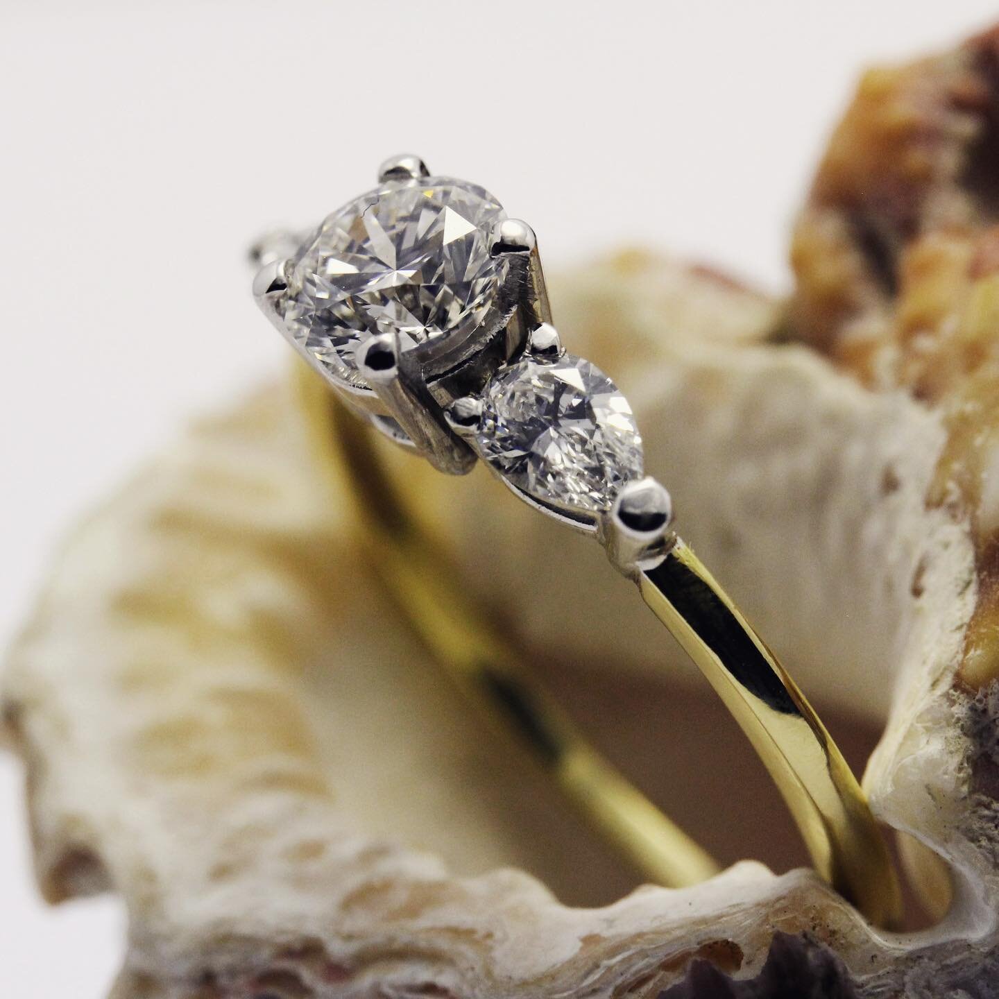 I like to use anything that&rsquo;s lying around for a jewellery stand. Wood, minerals and especially shells from tropical islands work quite well I think. #imisstravelling
.
.
.
.
.
.
#goldring #diamondring #ringsofinstagram #showmeyourrings #engage