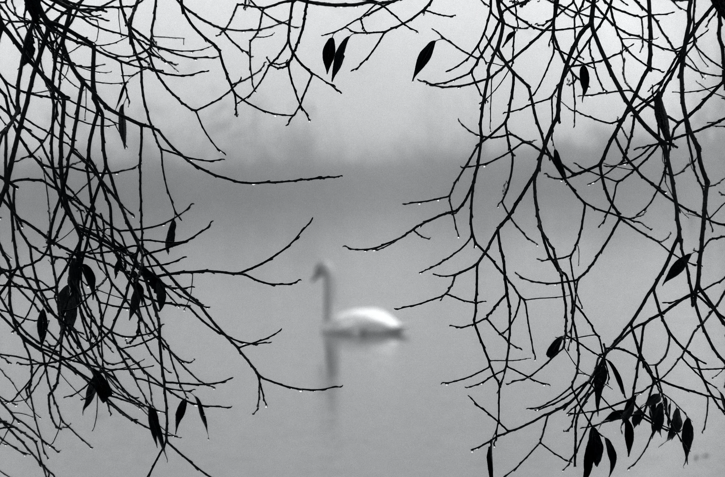 Parenting in a pandemic