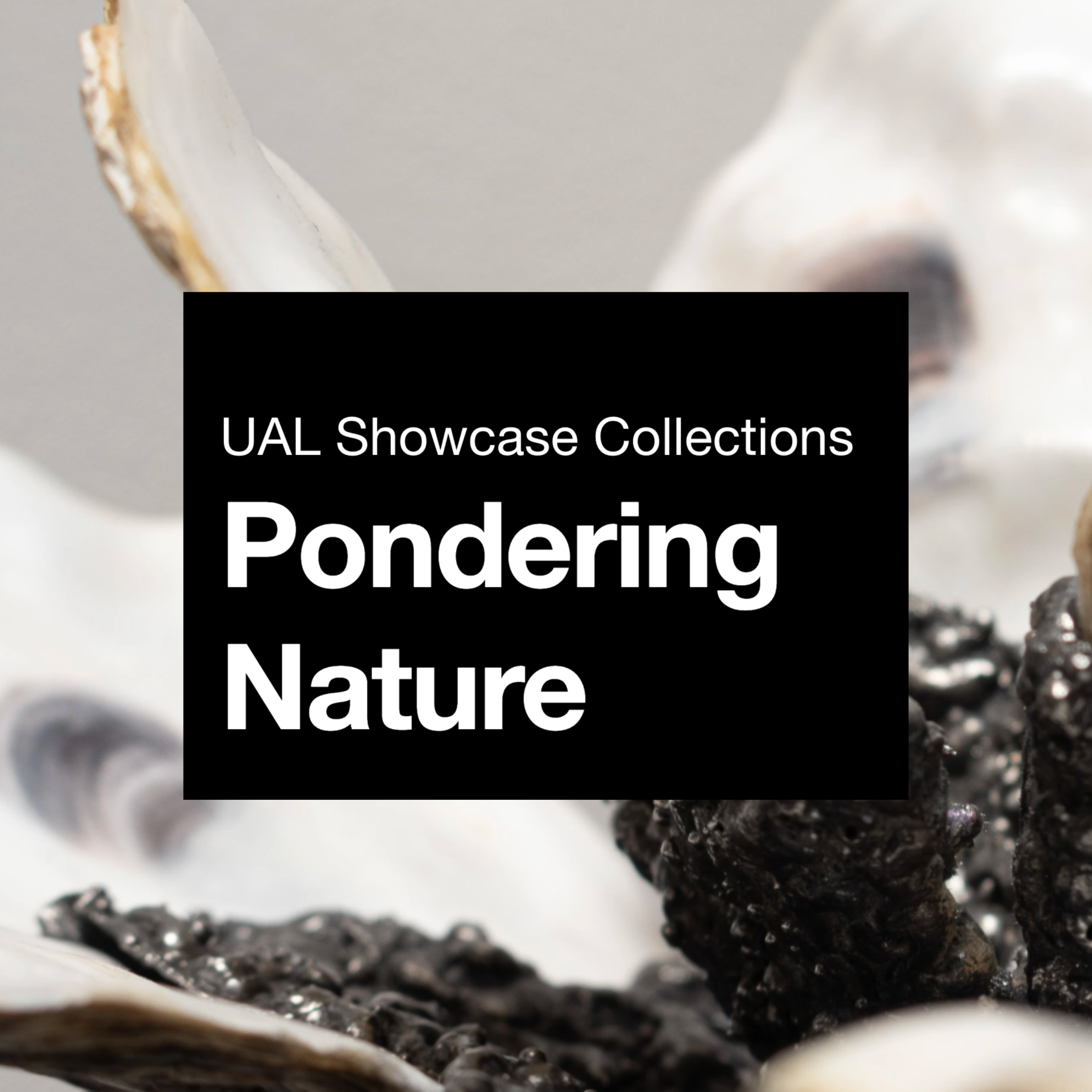 UAL Showcase | Pondering Nature - Featured Artist