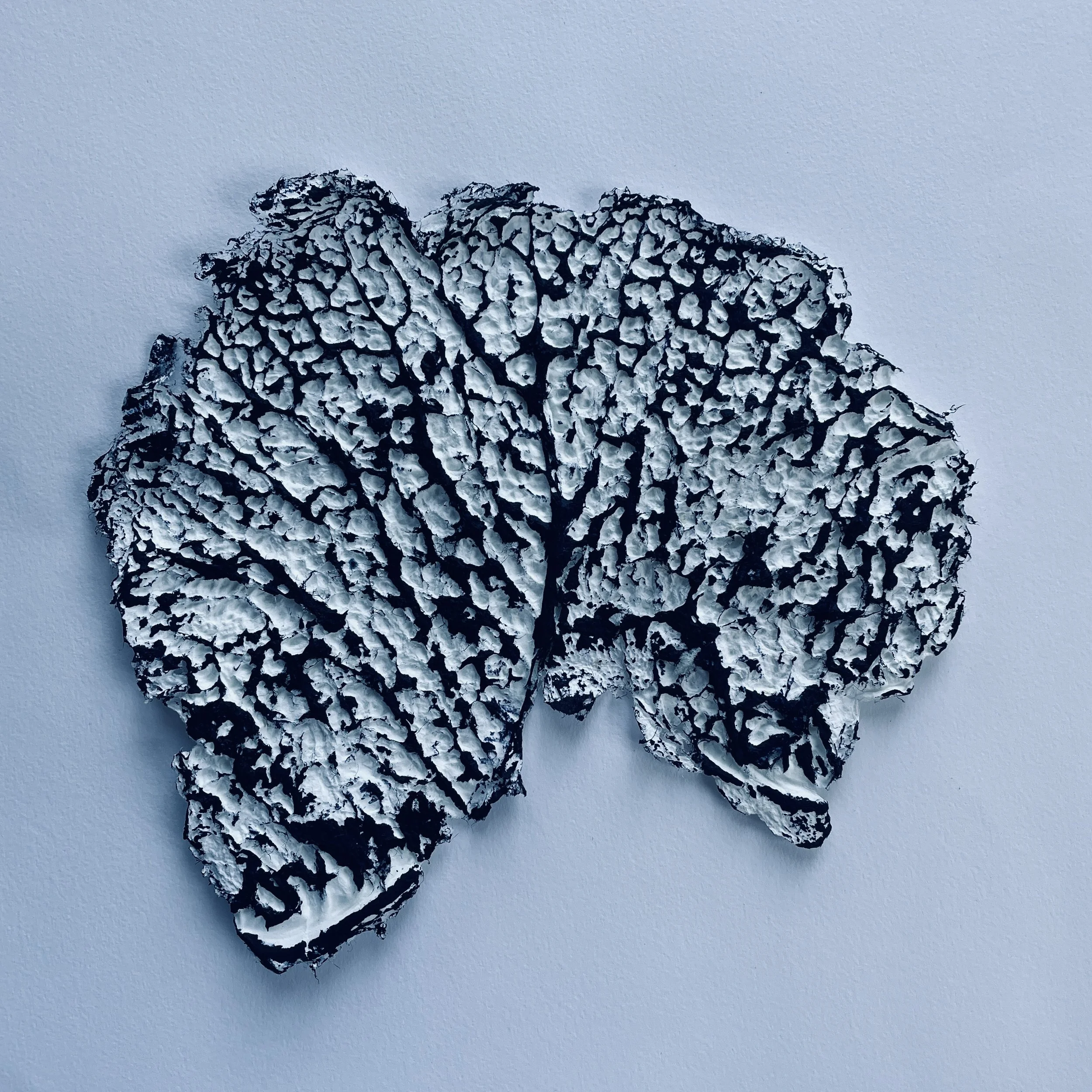 Future/Tense | Cast handmade paper and Indigo ink