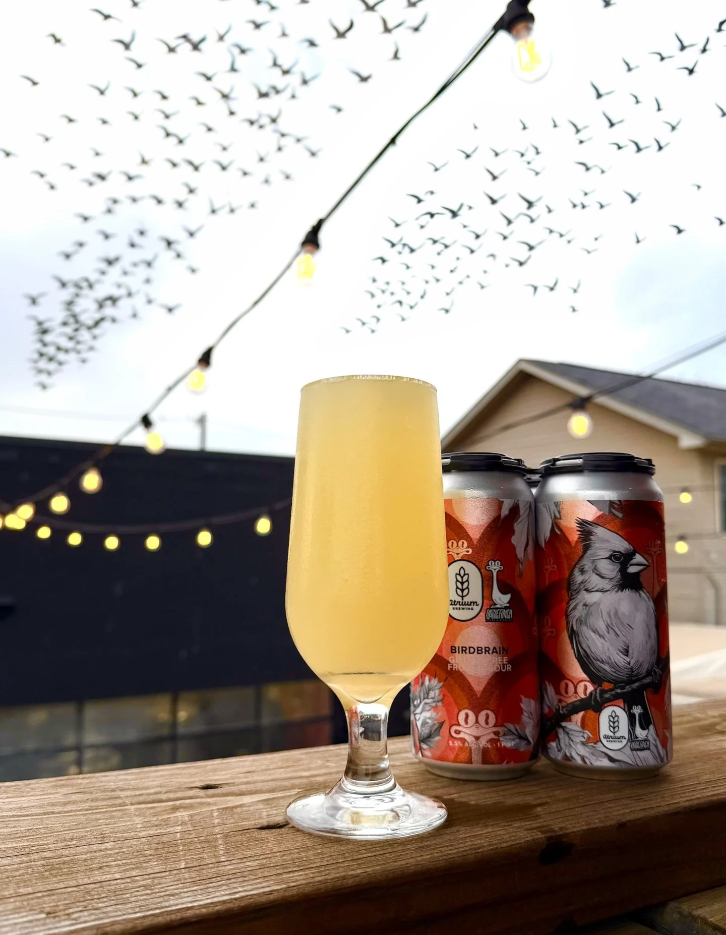 🦆🦜THE BIRDS ARE BACK🕊️🦅
Wednesday(3/11)

🧠🦜Birdbrain🦜🧠
GLUTEN FREE Fruited Sour - 5.5%

The final collab of Atrium Sour Month 2024 HAS RETURNED.  Y&rsquo;all spoke and we listened. Our first ever Gluten Free Fruited Sour with our good friends