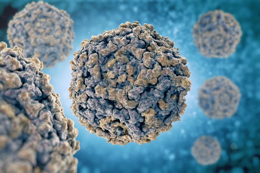 Human Parvovirus B19