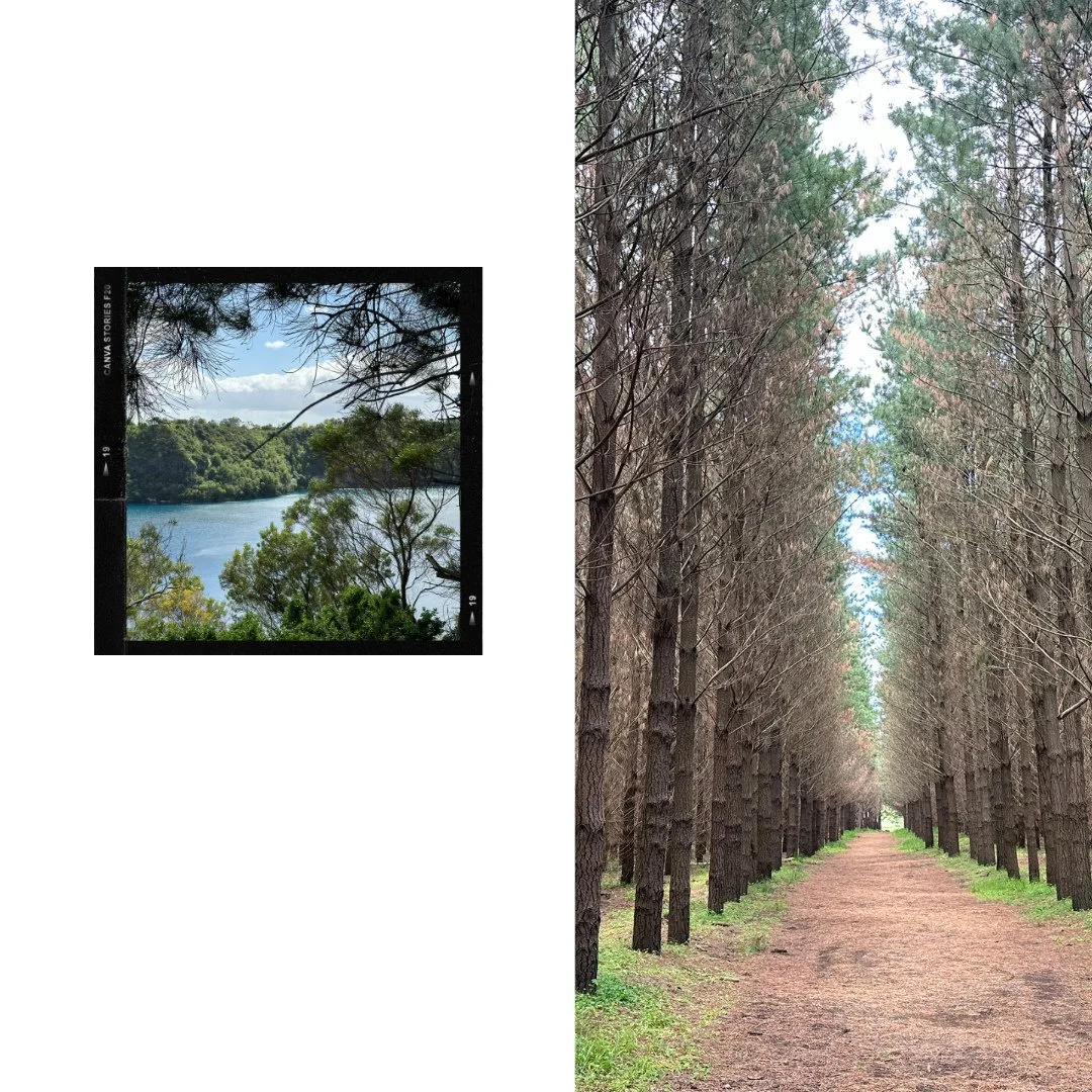 A walk among the pines that surround the Blue Lake. ⁠
#Livemusic #Livemusicbrisbane #Music #Acousticmusic #Livelooping #Loopingartist #Musician #Musicianlife #Brisbane #brisbanecity #picoftheday #songoftheday #beeroftheday #guitar #acousticguitar #gi
