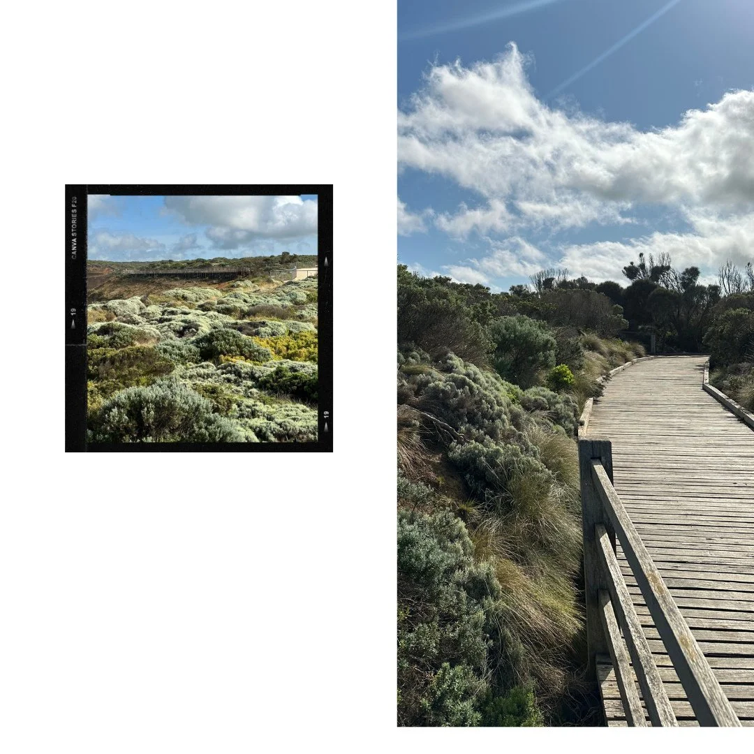 I just love this foliage, it's kind always reminds me of my hometown and the surrounds. ⁠
#Livemusic #Livemusicbrisbane #Music #Acousticmusic #Livelooping #Loopingartist #Musician #Musicianlife #Brisbane #brisbanecity #picoftheday #songoftheday #beer