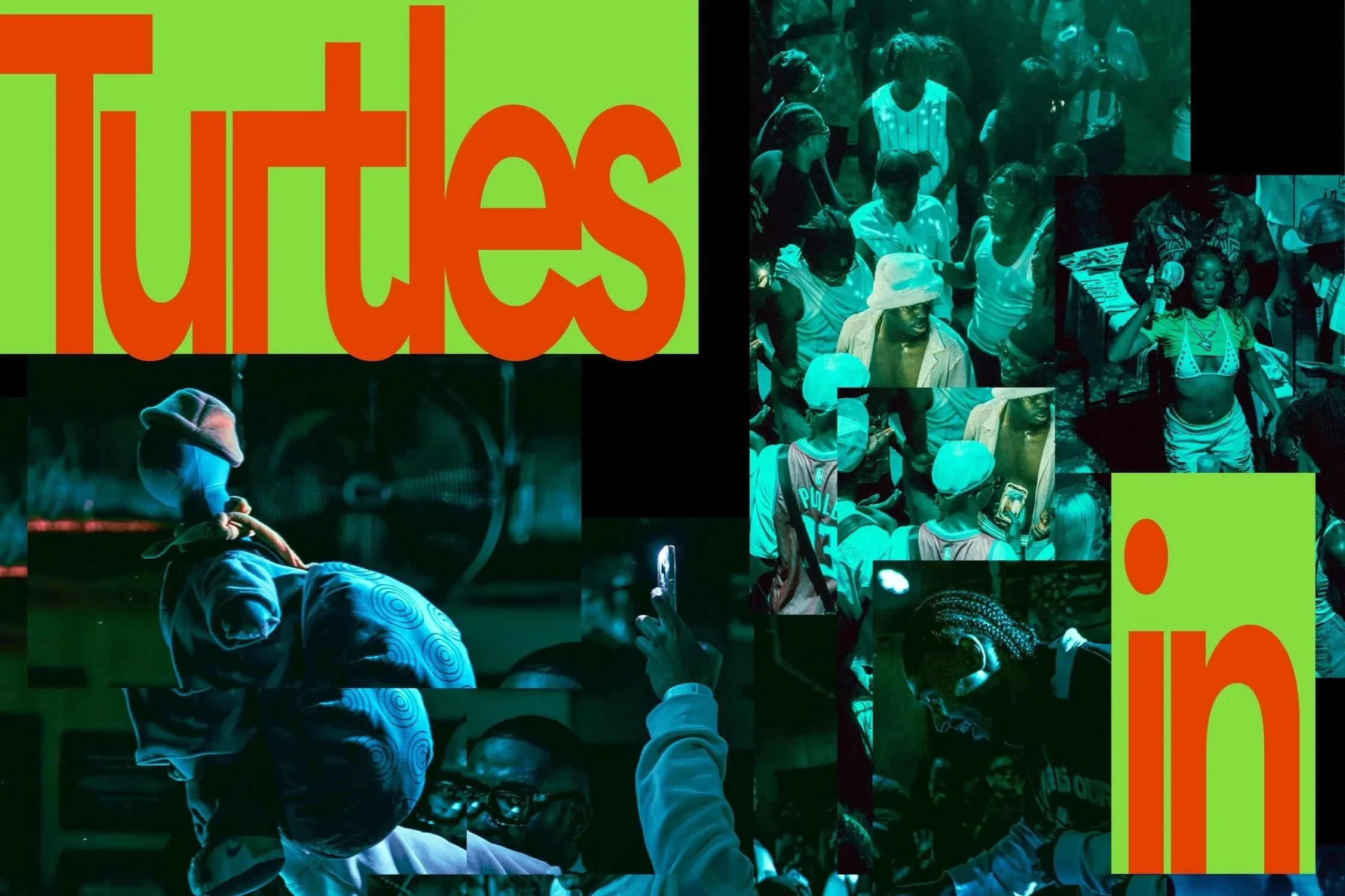 Turtles in Colour