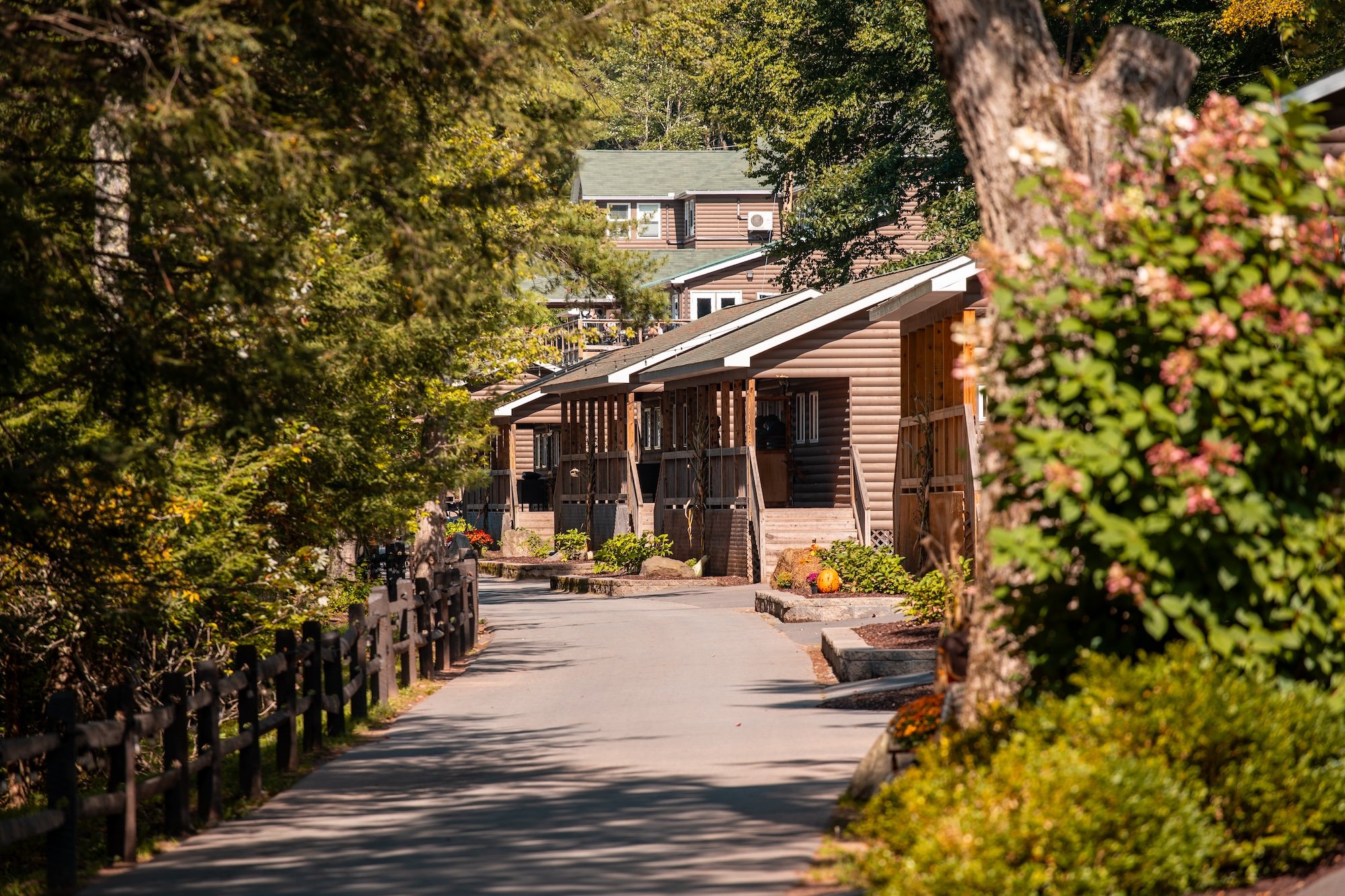 A row of brown residential townhouses with porches and steps, surrounded by trees and landscaping, on a sunny day.