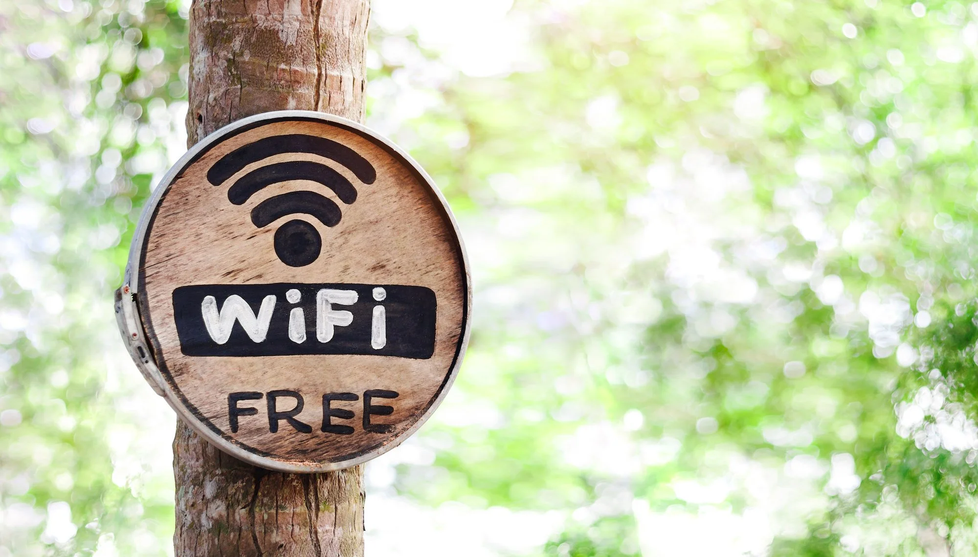Wooden sign attached to a tree with the words 'WiFi FREE' and a WiFi symbol, indicating free WiFi in an outdoor area with green foliage