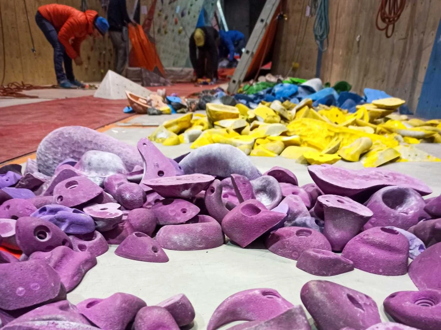 Corvée annuelle de nettoyage du mur !