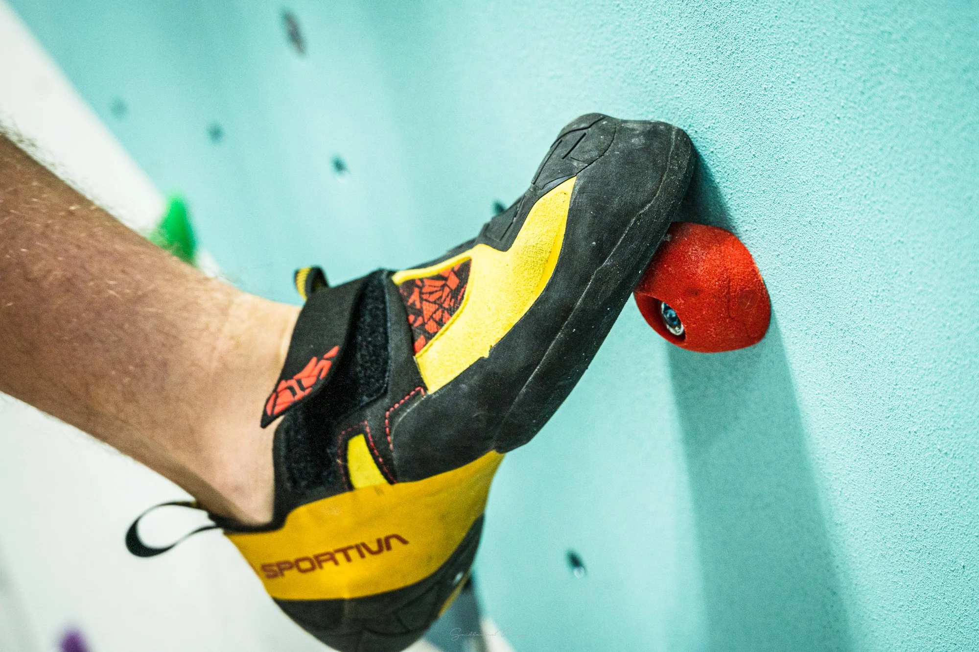 AumeTopo 01_©GUILLAUME BORGA_015.JPG