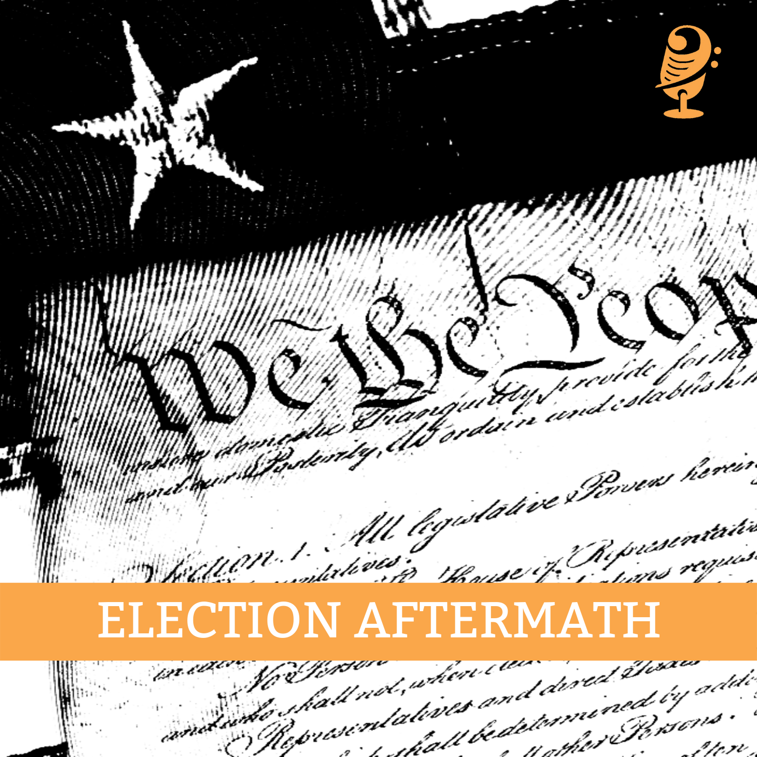 Episode 68: 2020 Election Aftermath with Kim Wehle and Jonathan Allen