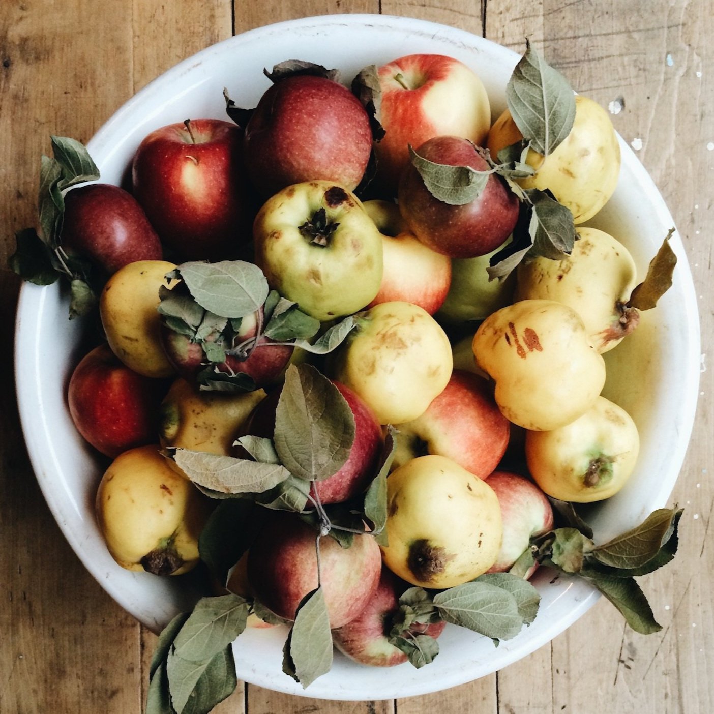 Heirloom apples at The Commerce Inn