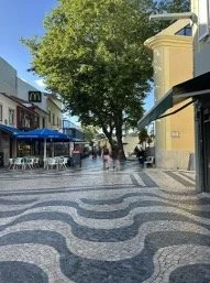A designed street in Portugal.