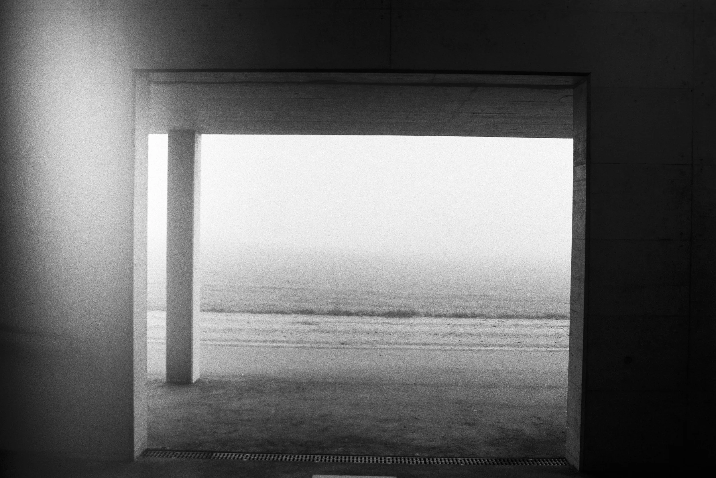 8388_15.jpg