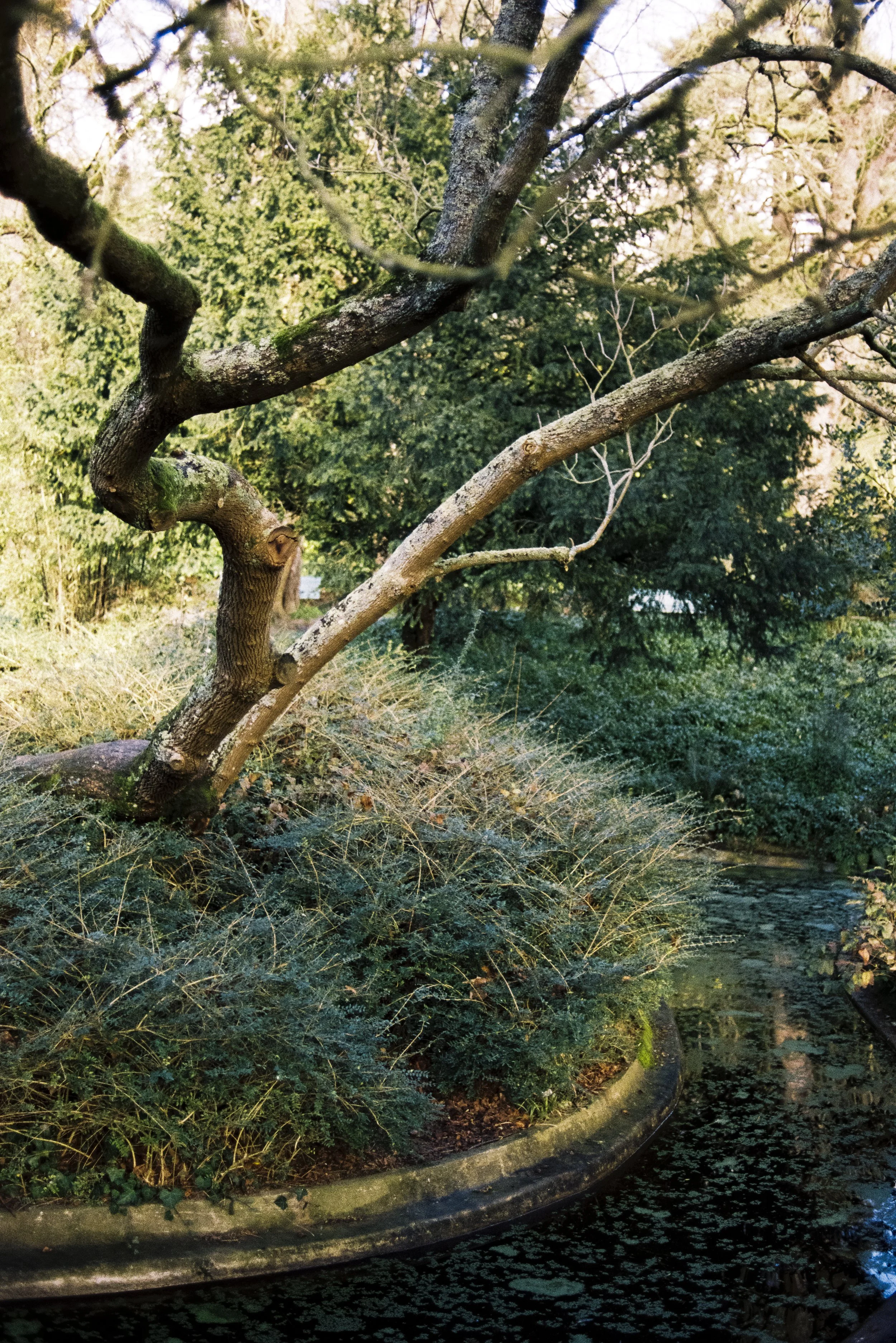 9632_03.jpg