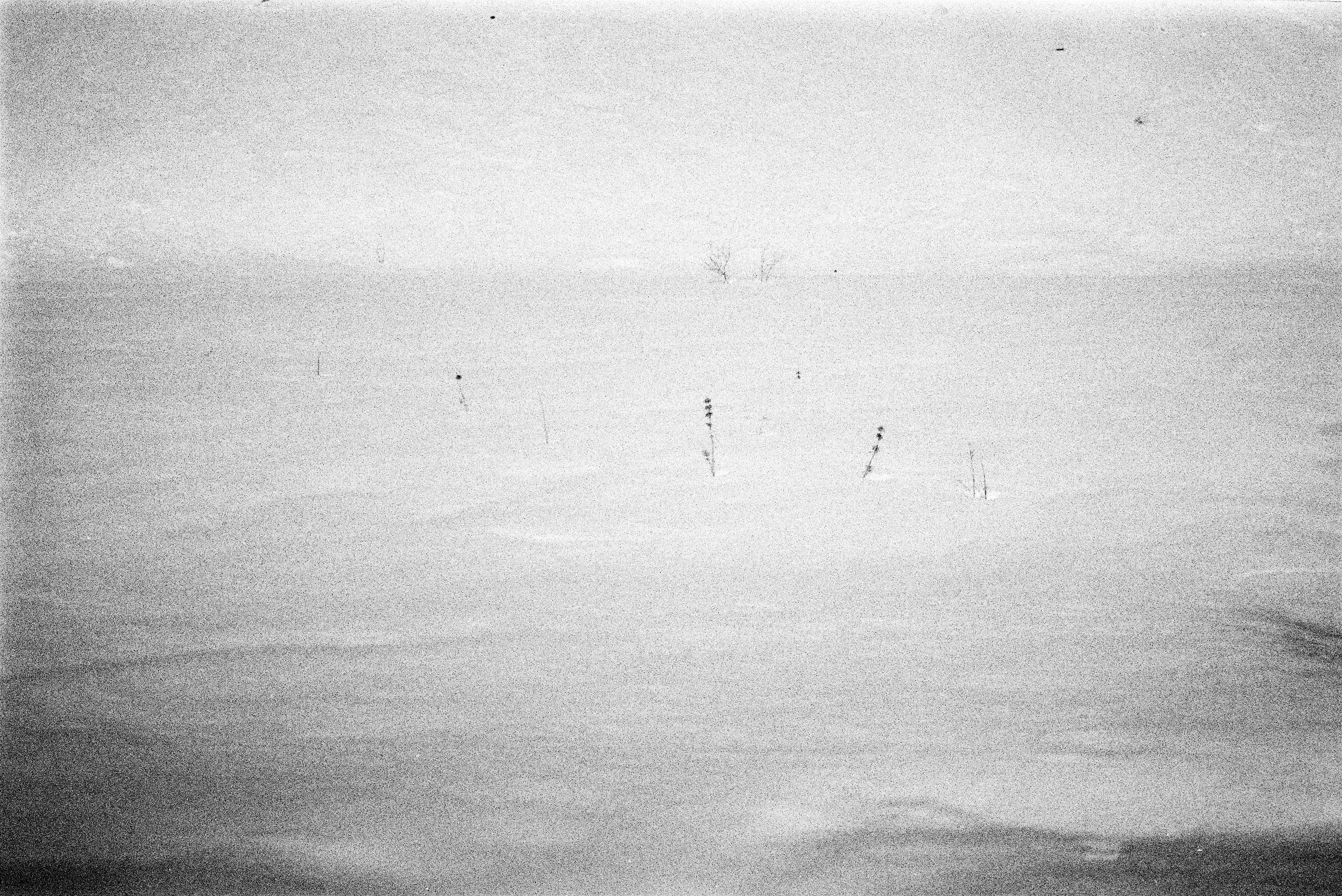 0156_16.jpg