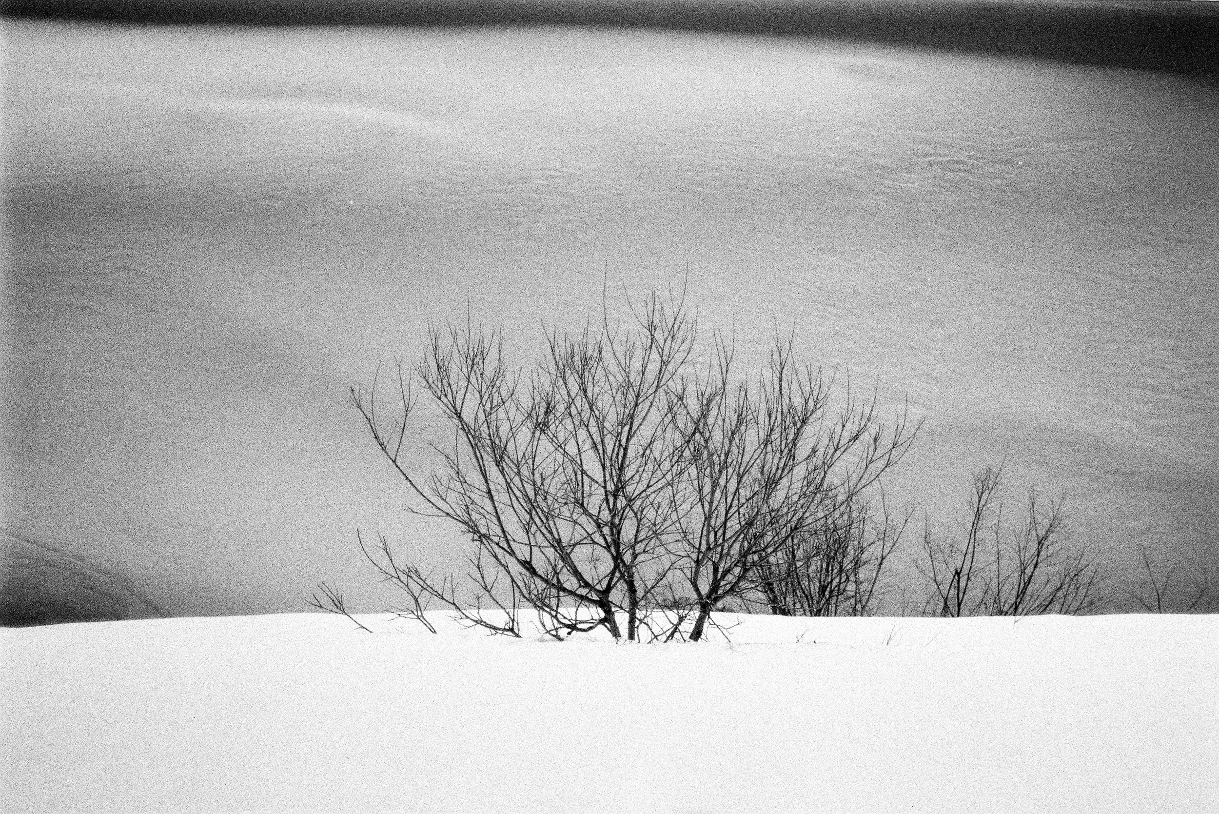 0156_20.jpg