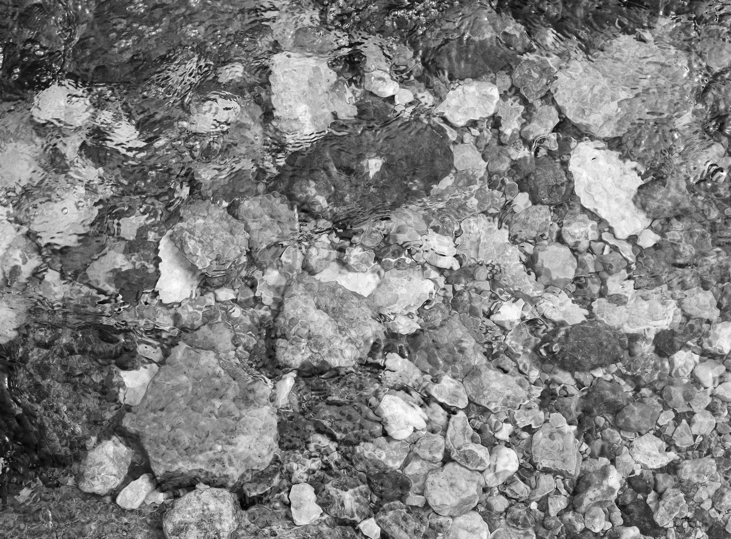 5016_08.jpg
