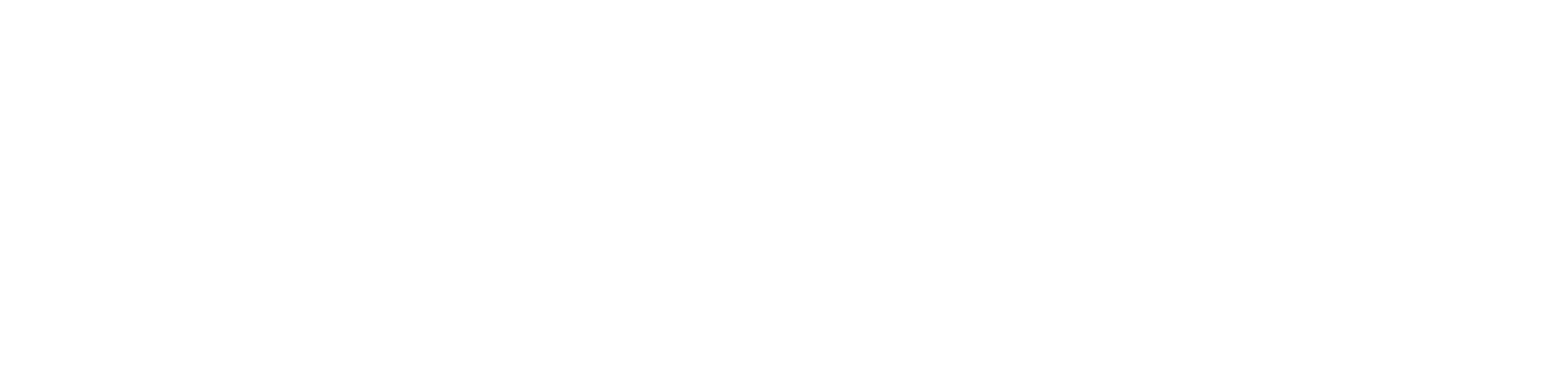 25th-Anniversary-WBCSD_Logo_white.png