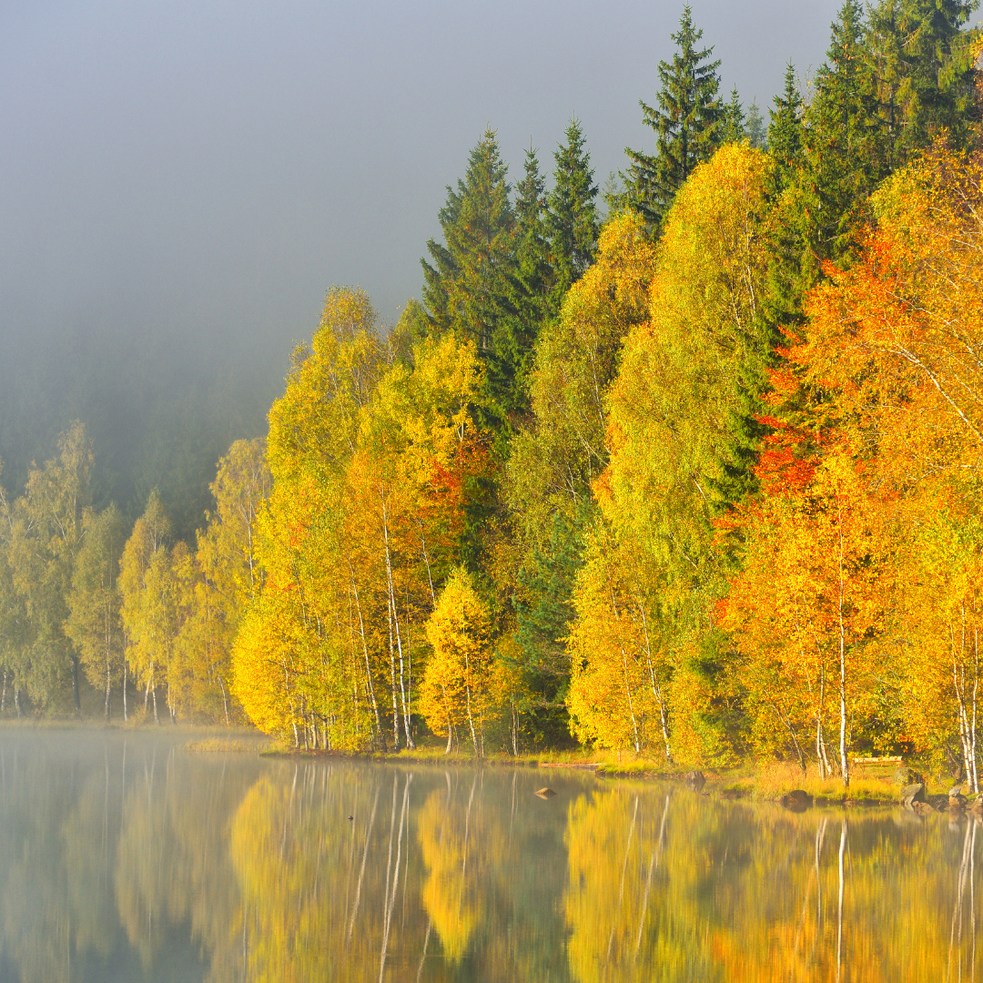 How I’m finding calm in the chaos
