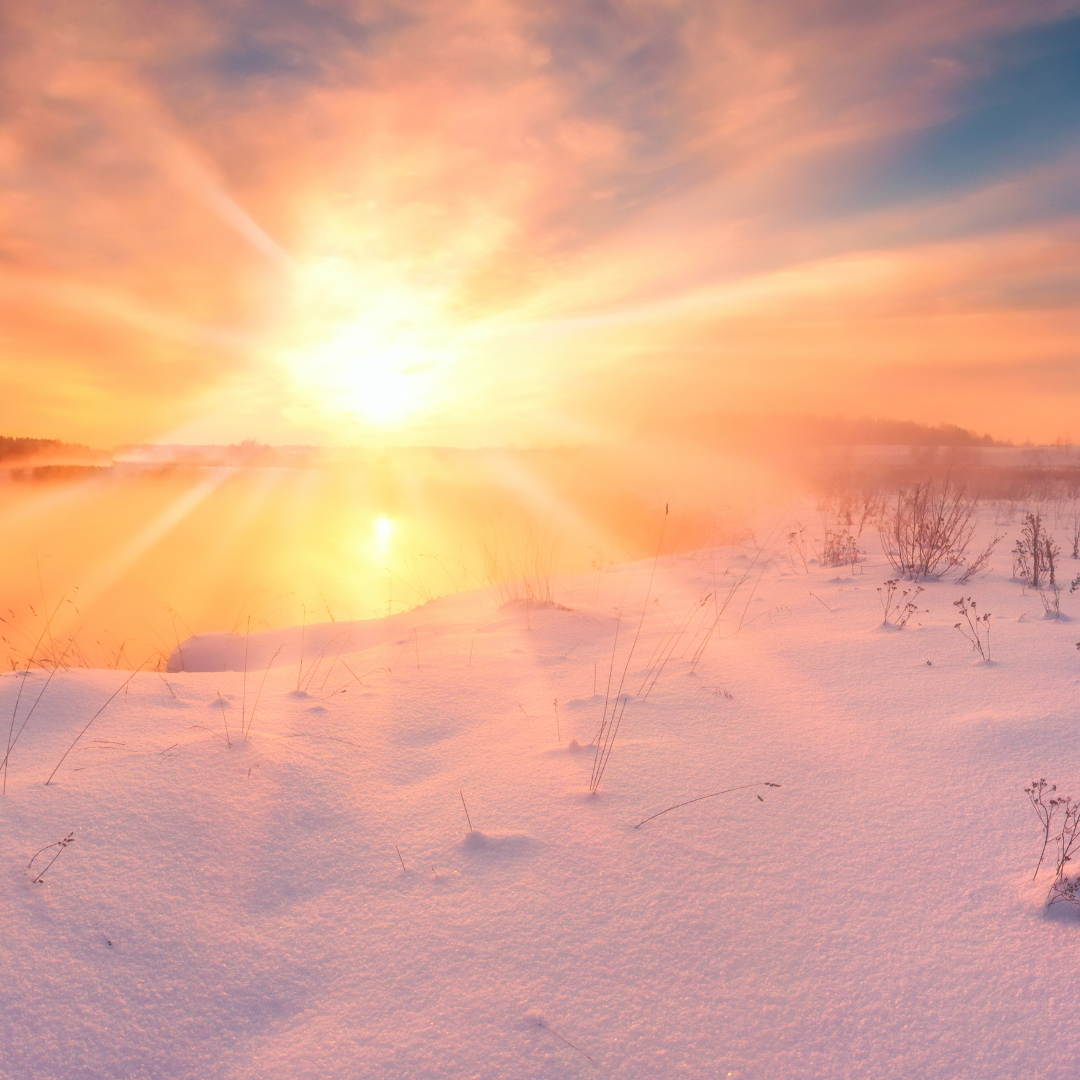 But isn’t it selfish for me to think about sex right now when the world is on fire?