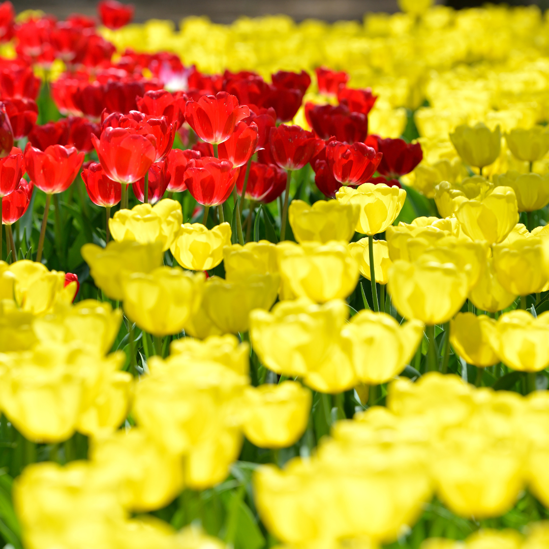 Keep your love relationship from falling apart