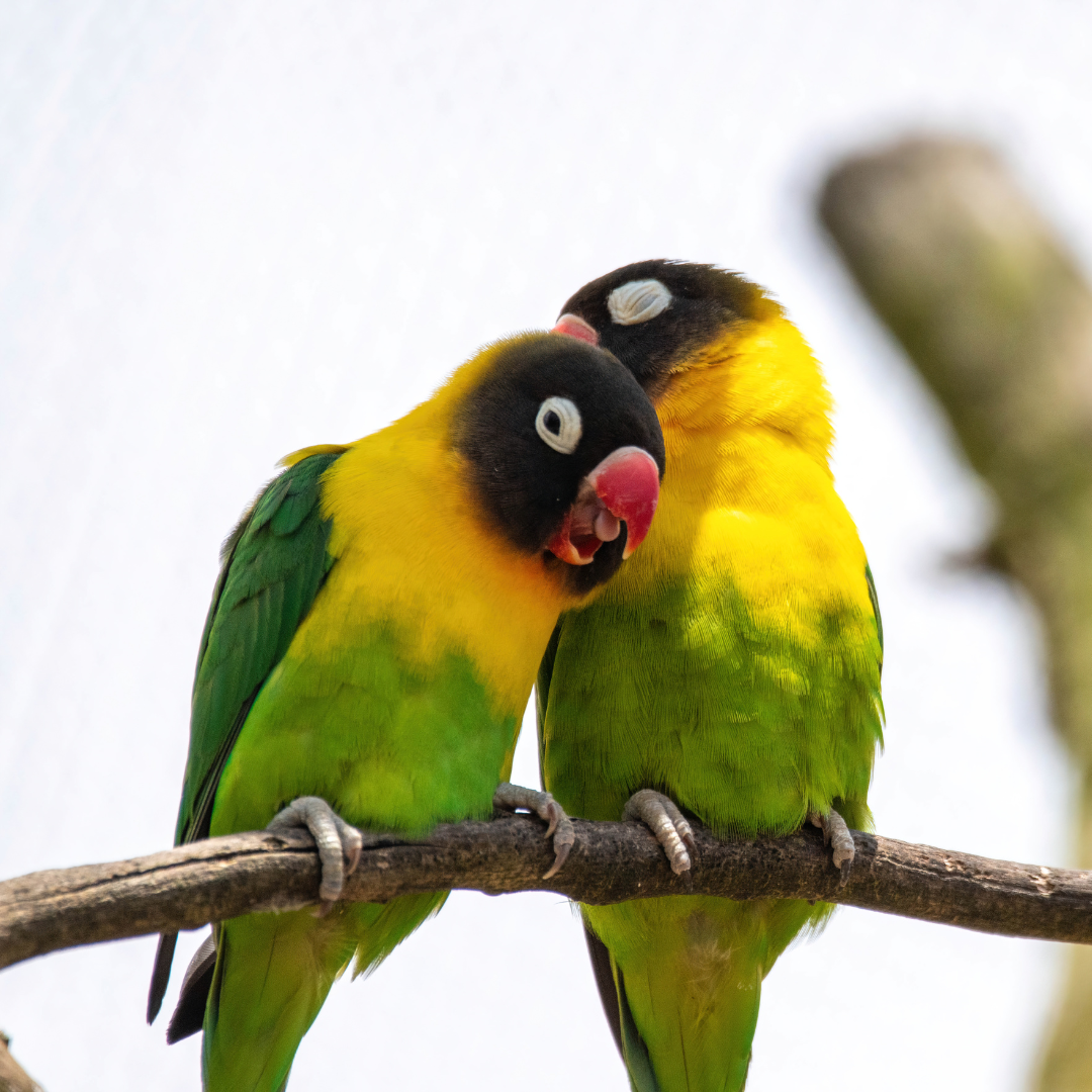 What does a “successful” relationship look like?
