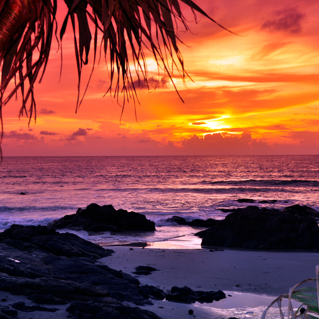 Who needs vulnerability anyway? (You might.)