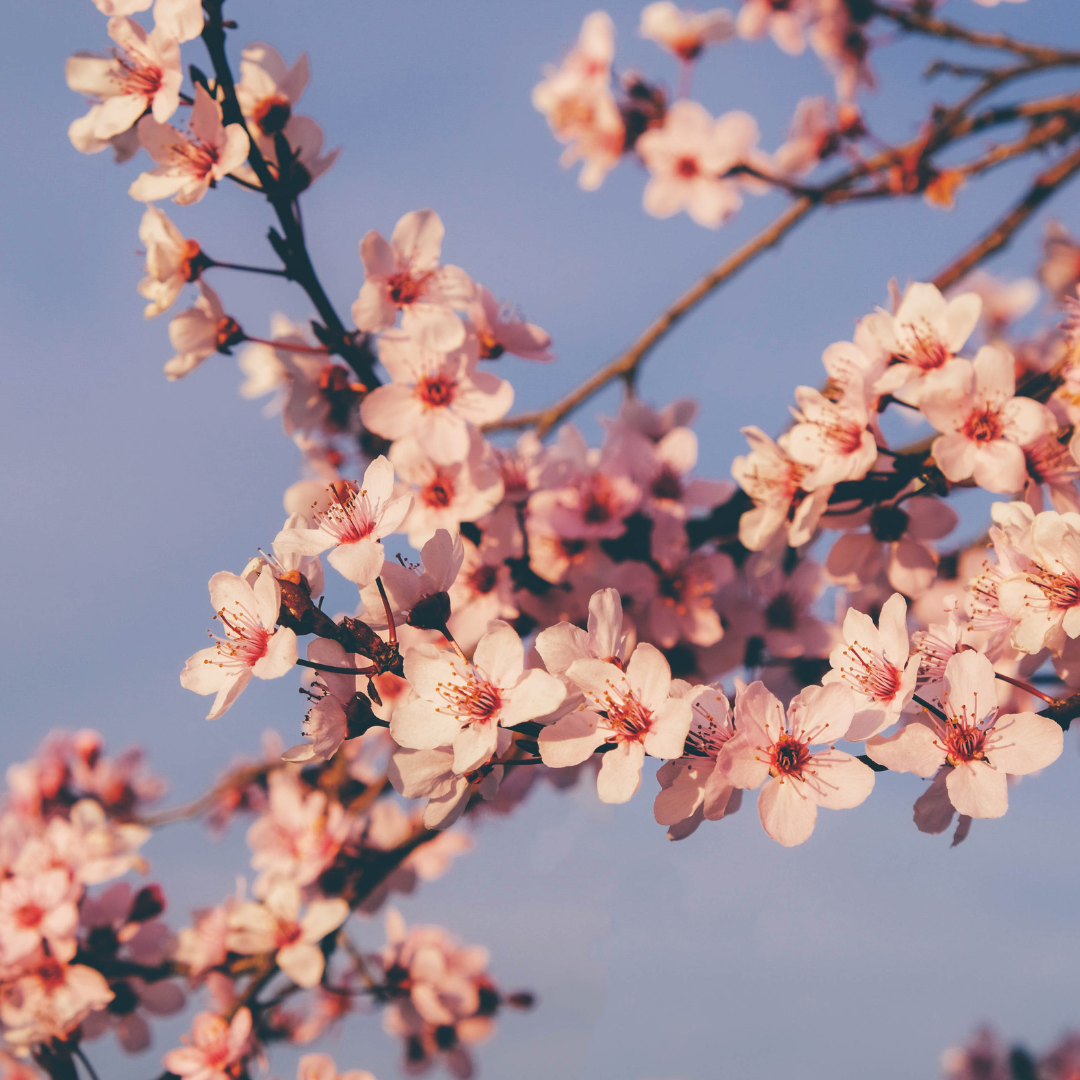 Dating is down. Desire isn’t. So what’s going on?