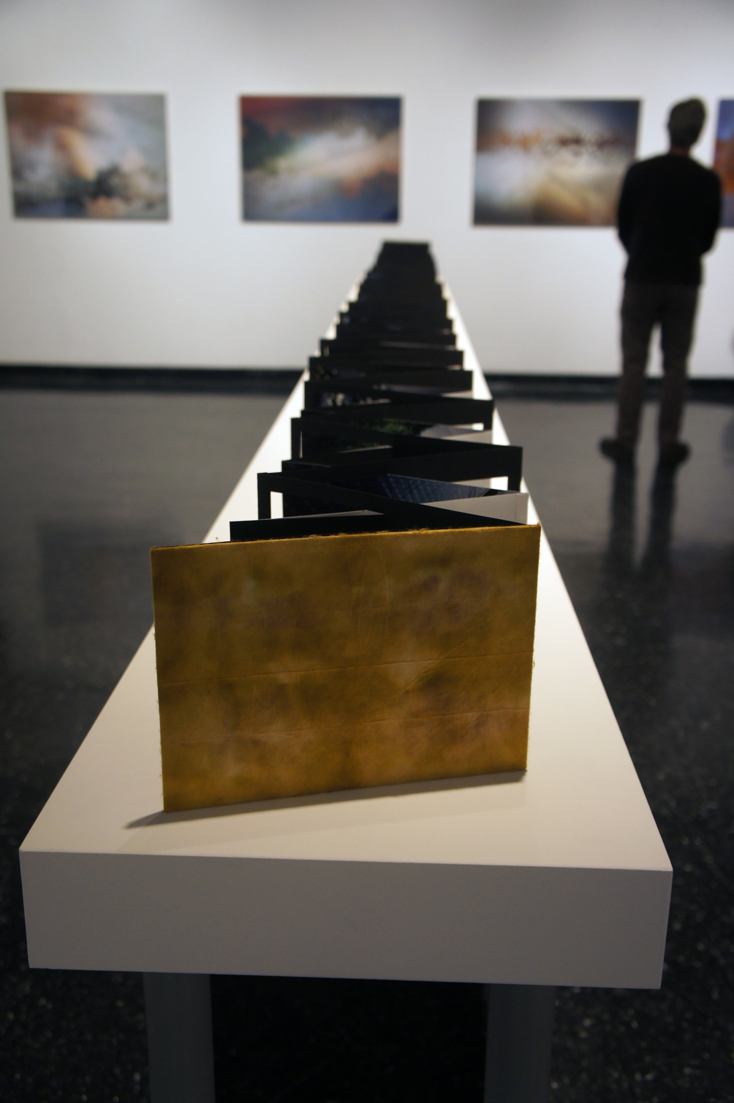 Wired to Adapt Exhibition