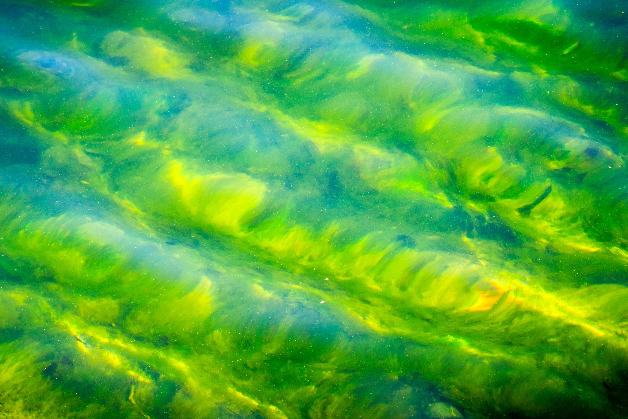 water stories-8.jpg
