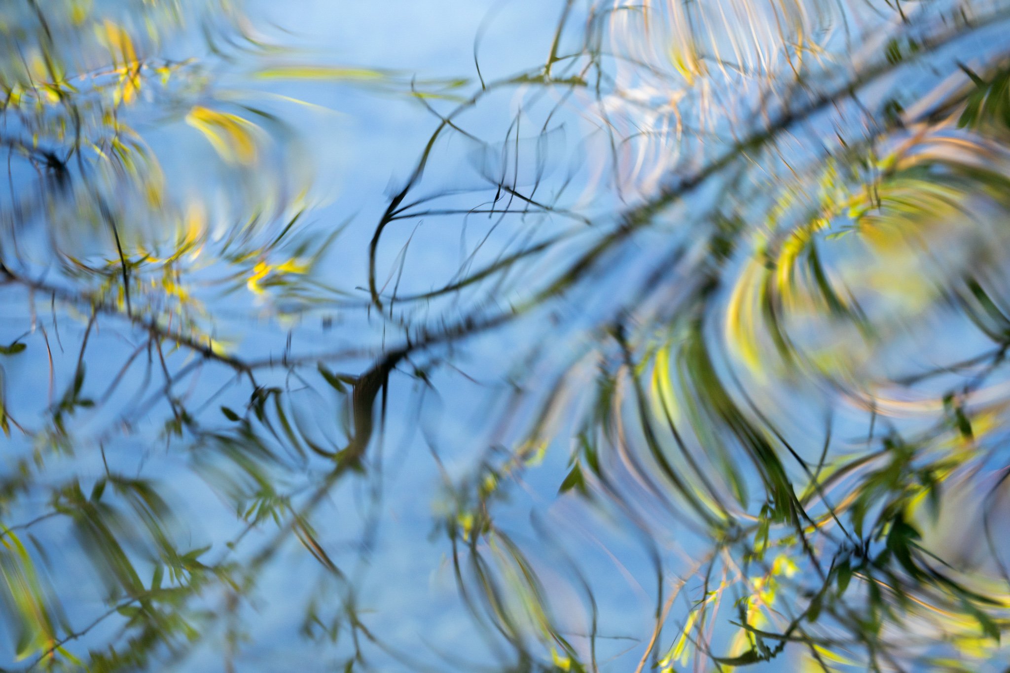water stories-7.jpg