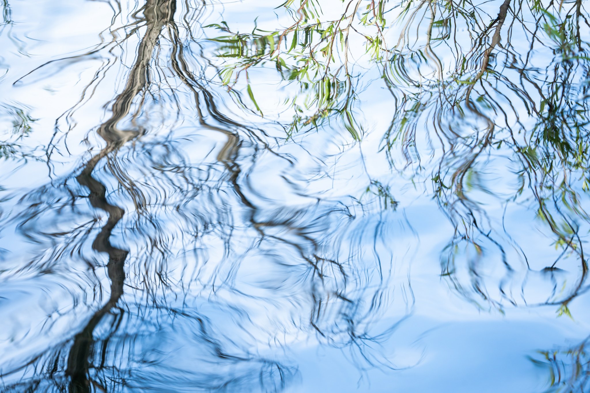 water stories-6.jpg