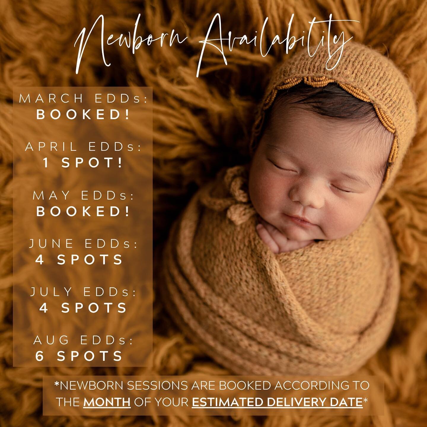 Expecting a baby this summer? Now is the time to book their Newborn Portrait Session! This year is getting booked-up quickly, y&rsquo;all! March Due Dates are FULLY BOOKED and May Due Dates are FULLY BOOKED. There is still ONE last spot for an April 