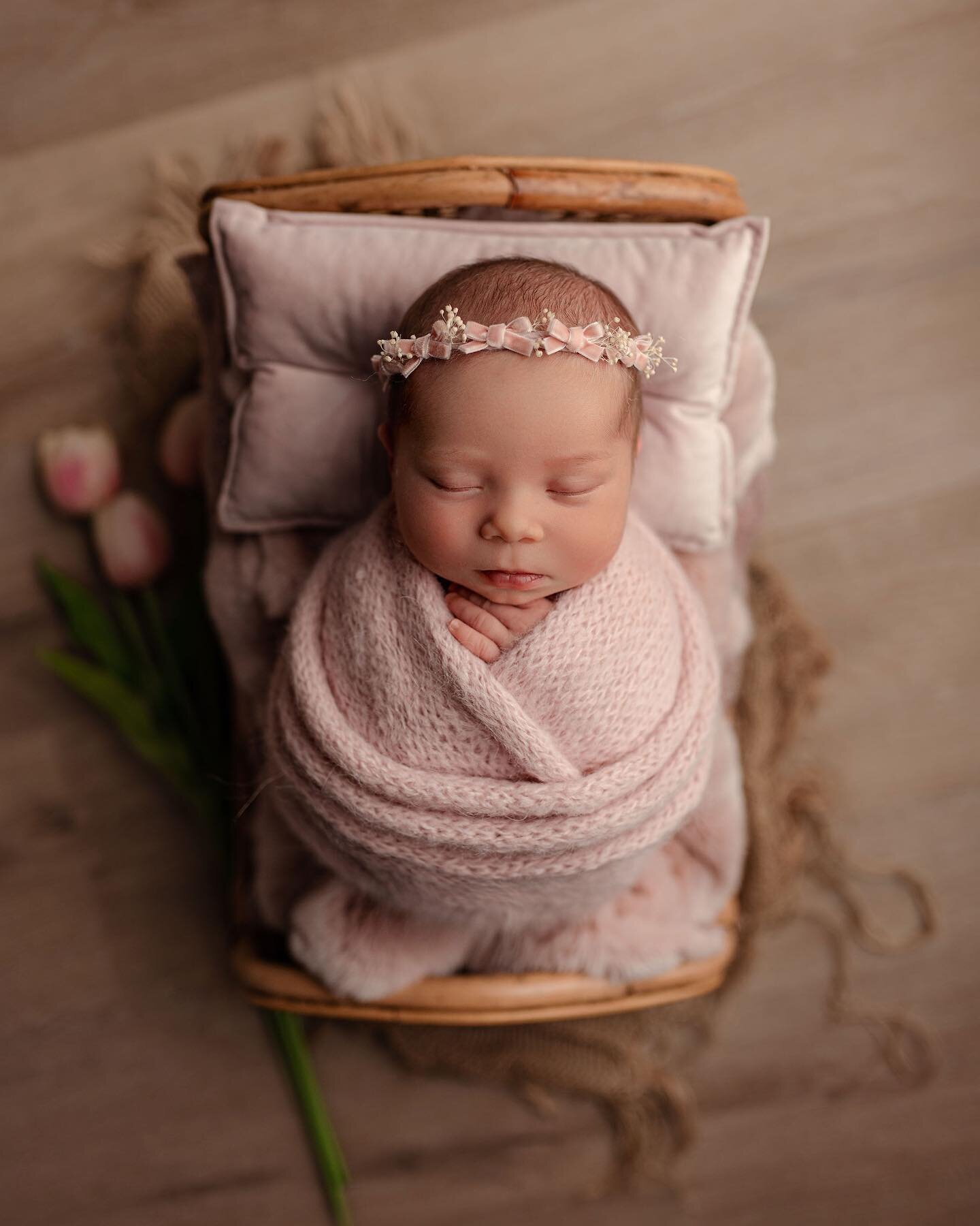 Baby Elira - Pretty in Pink 💕 How gorgeous is this little love nugget?! 

Currently booking Newborn Portrait Sessions for Due Dates through August! September Due Dates open for booking on April 1st! Only 10 Due Dates are accepted per Calendar Month!