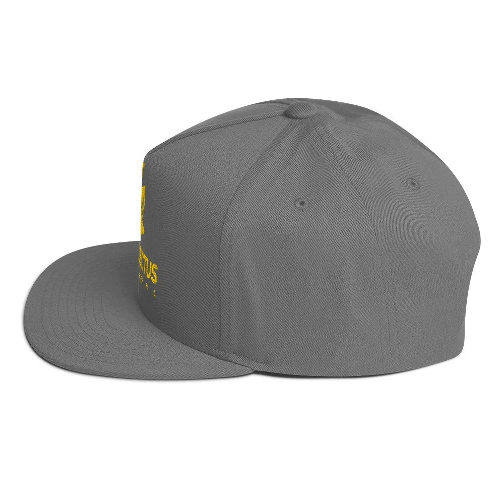 flat-bill-cap-grey-left-side-669f2b196df5c.jpg