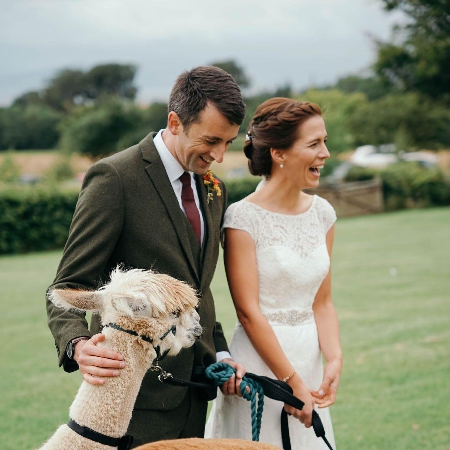 little throwback to this stunner of a day with naill and jill. 🍃 still think about sid the alpaca on a daily basis 🥹🦙 

hope everyone is having a lovely friday! i&rsquo;ve been doing admin and packing. almost time for my holidays!! 🤩☀️ have a goo