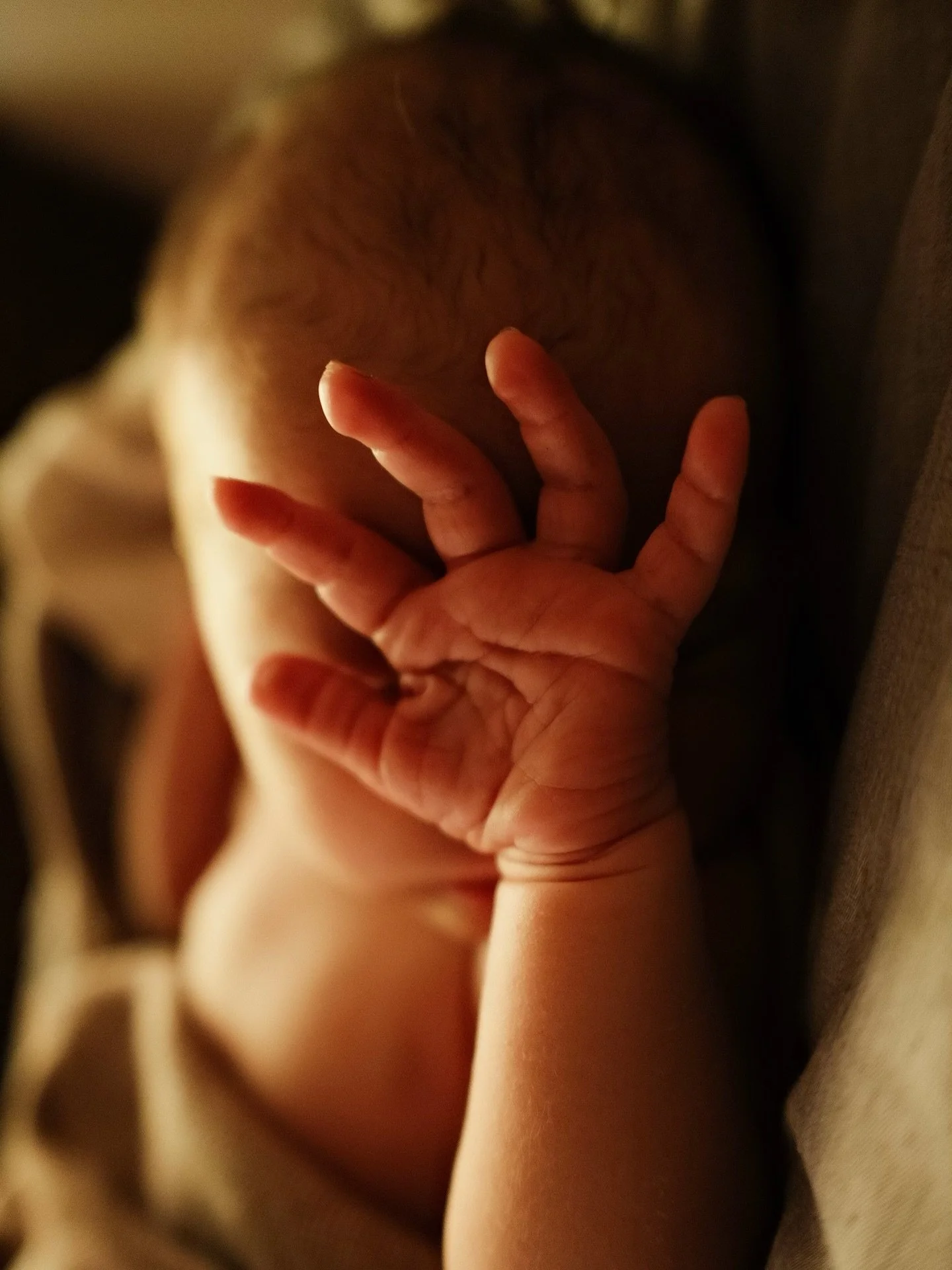 Welcome to Life and our family, Sonny Murray Brown - born quietly at home just as the sun was rising on 9/12 at 6:22am 7lb 6oz and 20in of pure love!

After 4 nights of prodromal labor that left us curious, a bit frustrated, impatient, and excited - 