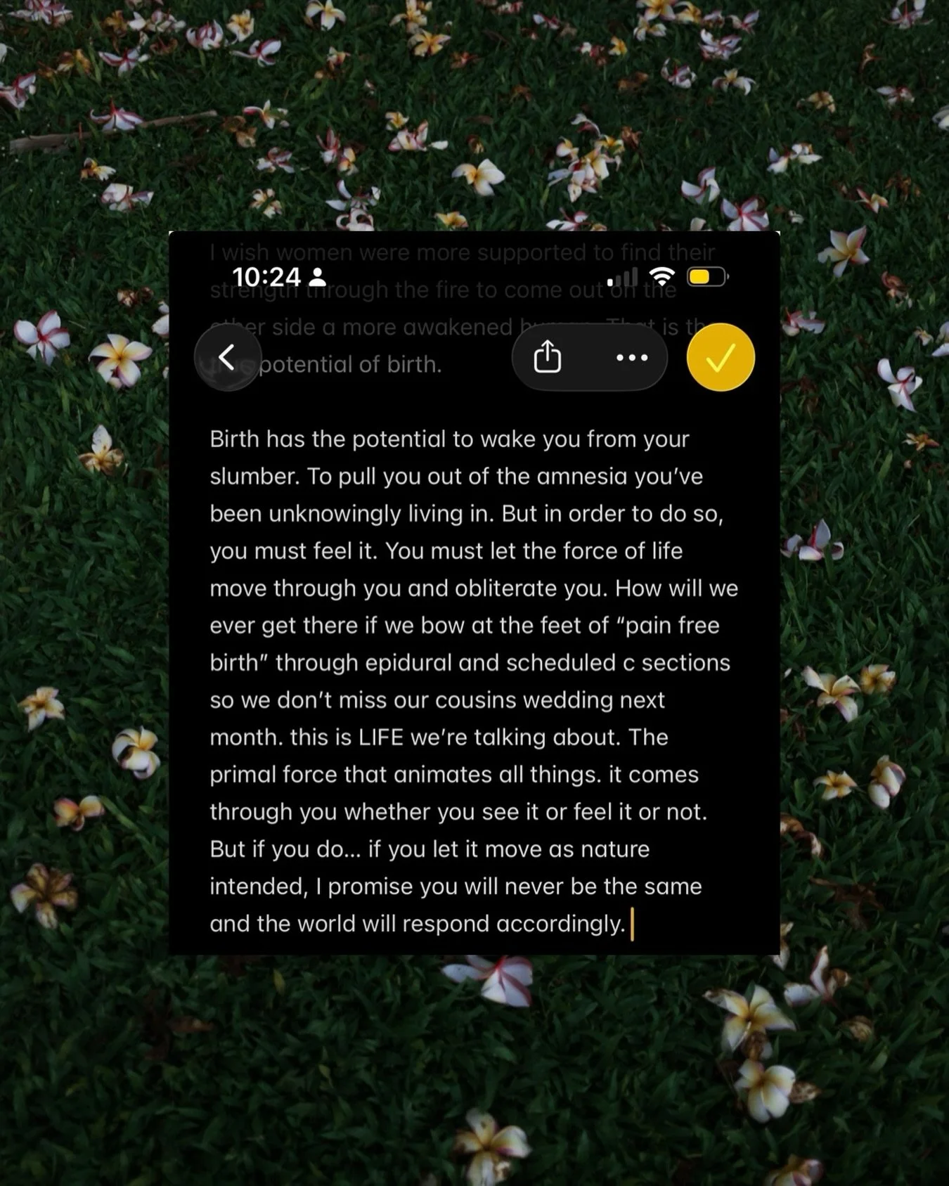 contact naps 🤝 my notes app 💭