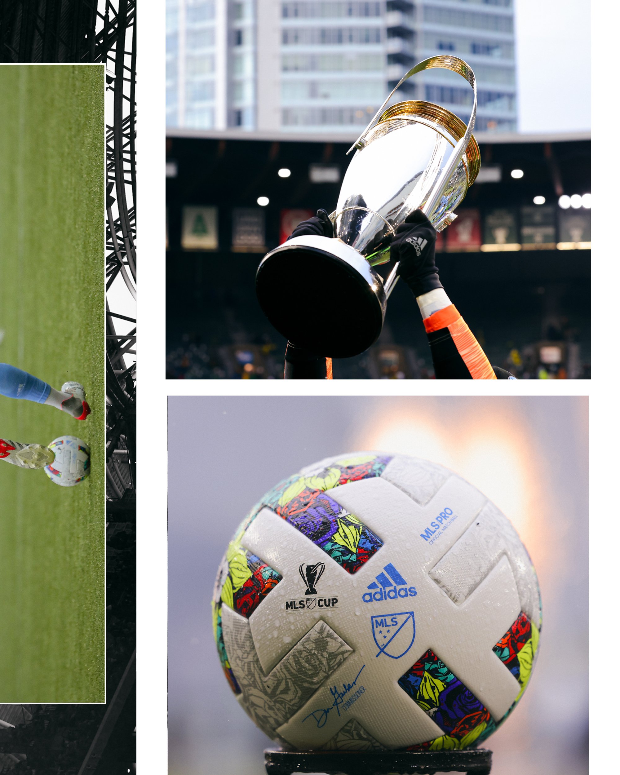 MLS_Cup_v1_04.jpg