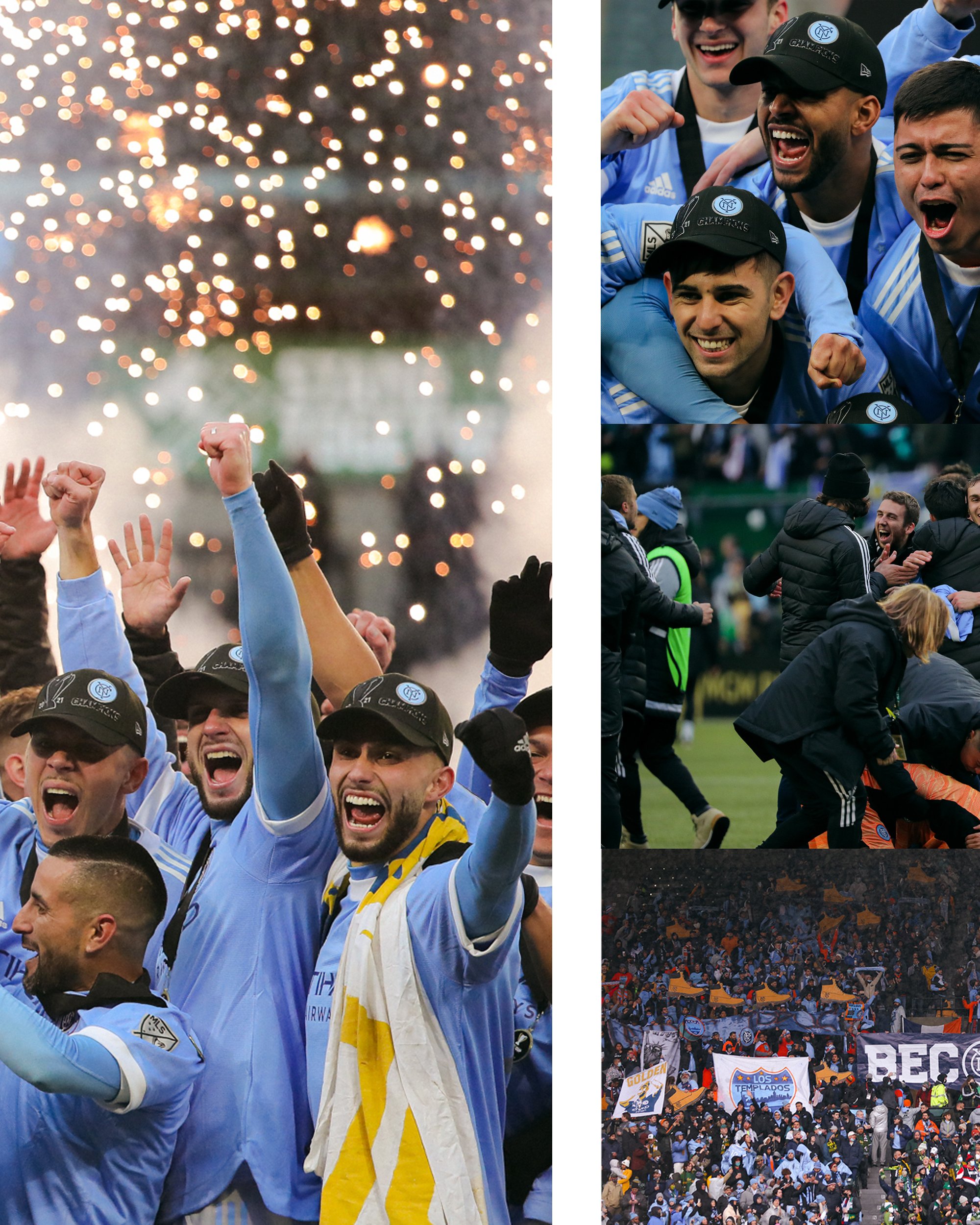 MLS_Cup_v1_02.jpg