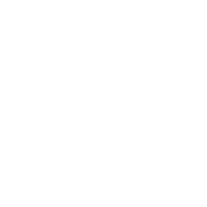 1Asset 5WebIconsWHtrans.png