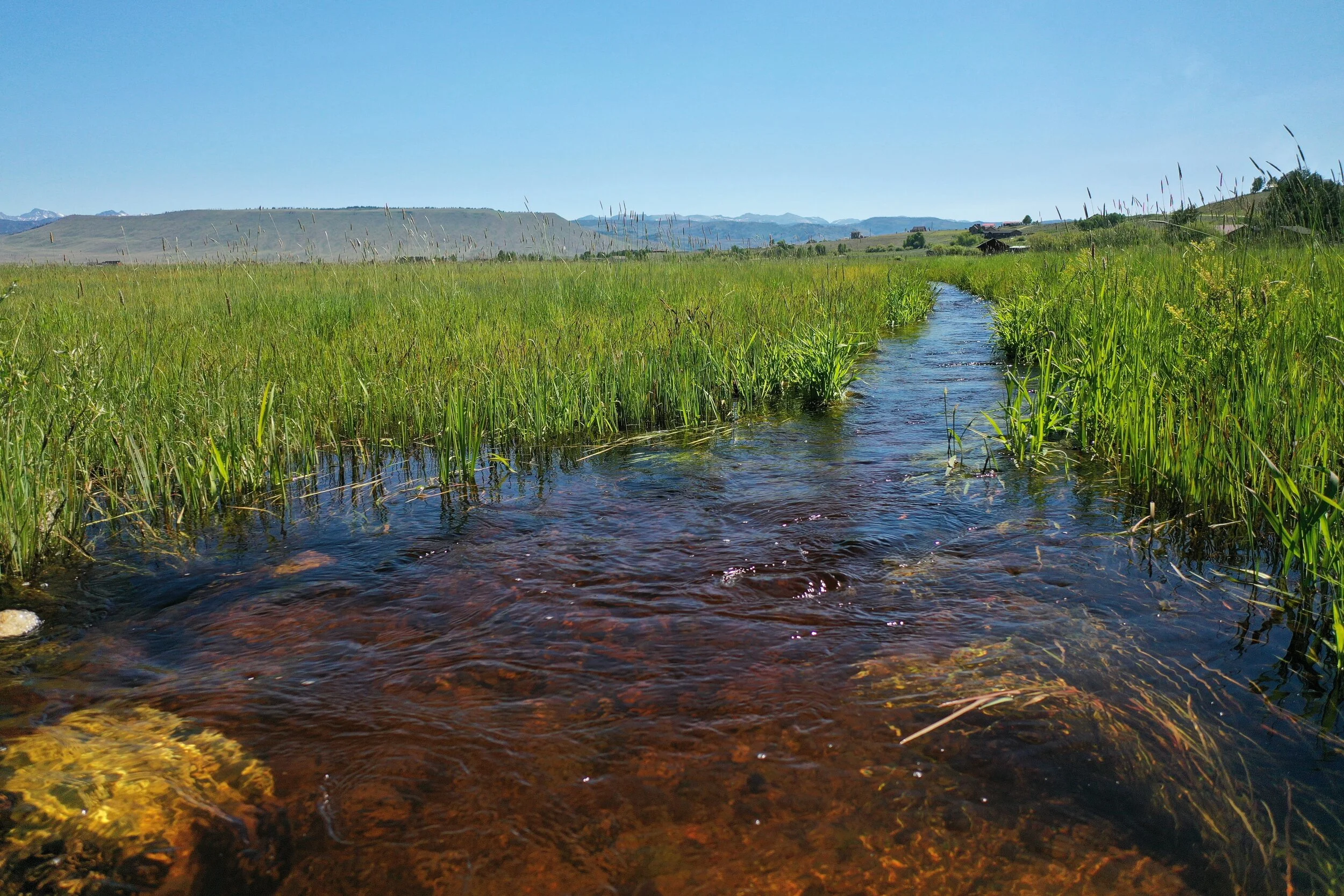 About — Western Winds Property Brokers LLC