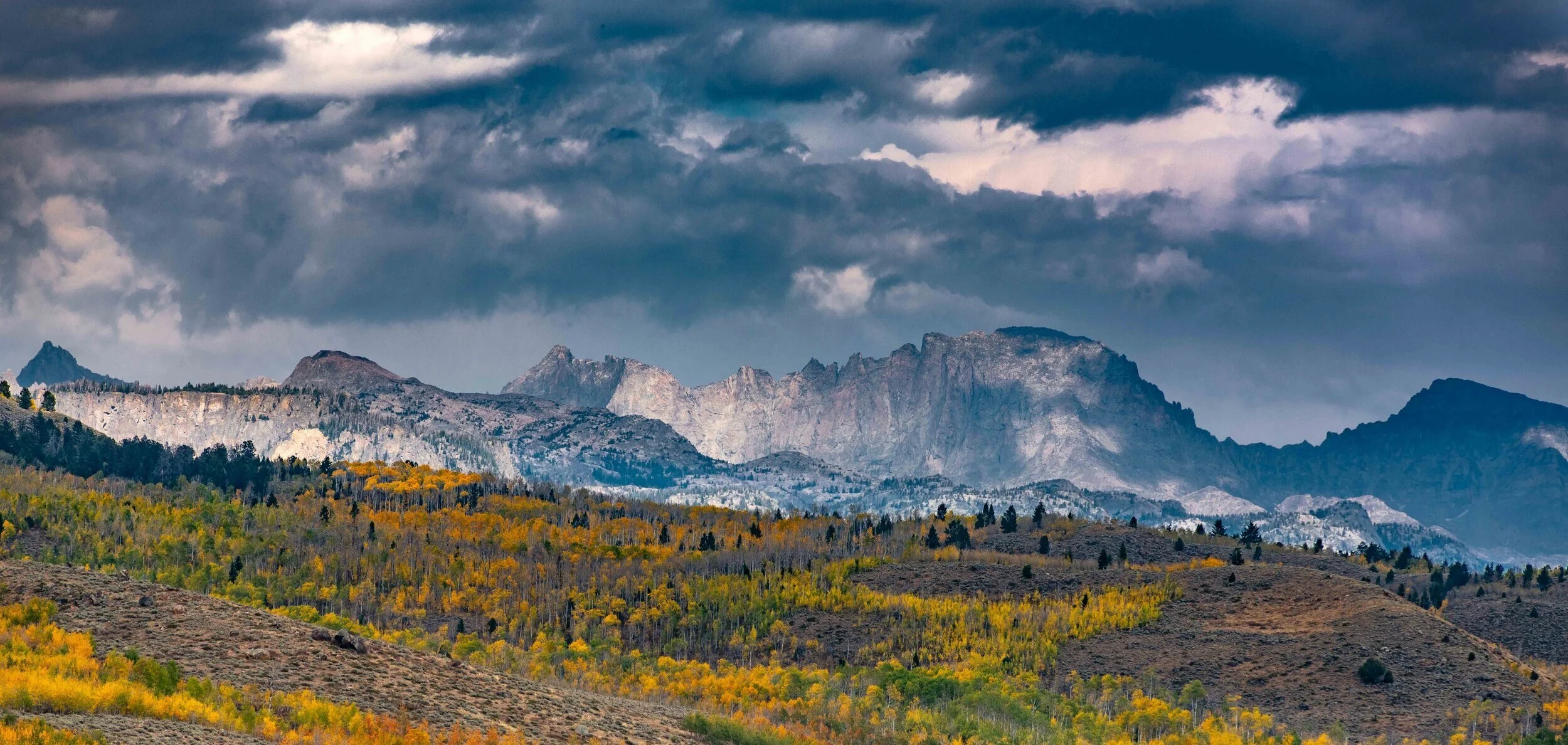 Our Team — Western Winds Property Brokers LLC