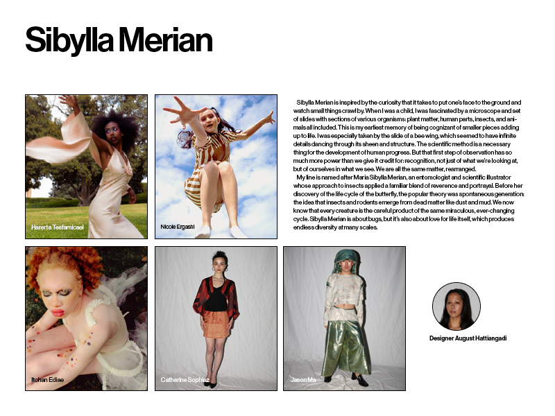 14_Sibylla Merian.png