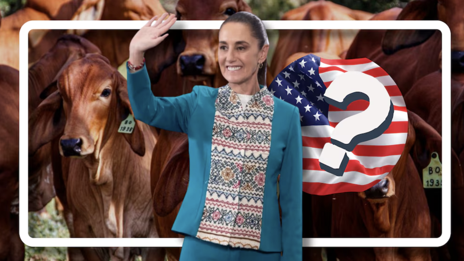 México y Estados Unidos avanzan hacia la reapertura del comercio ganadero tras contener brote de gusano barrenador