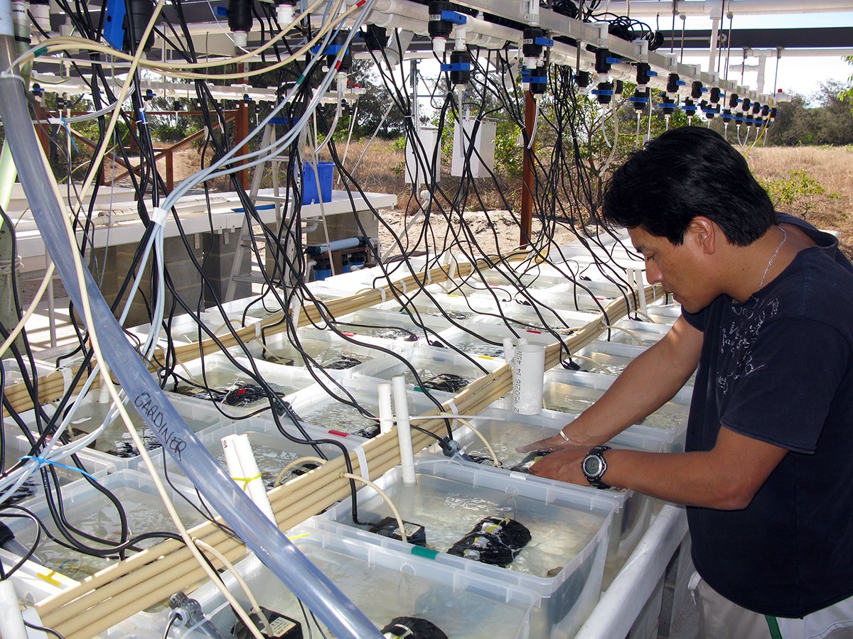 Researcher in the aquarium IMG_7980 copy.jpg